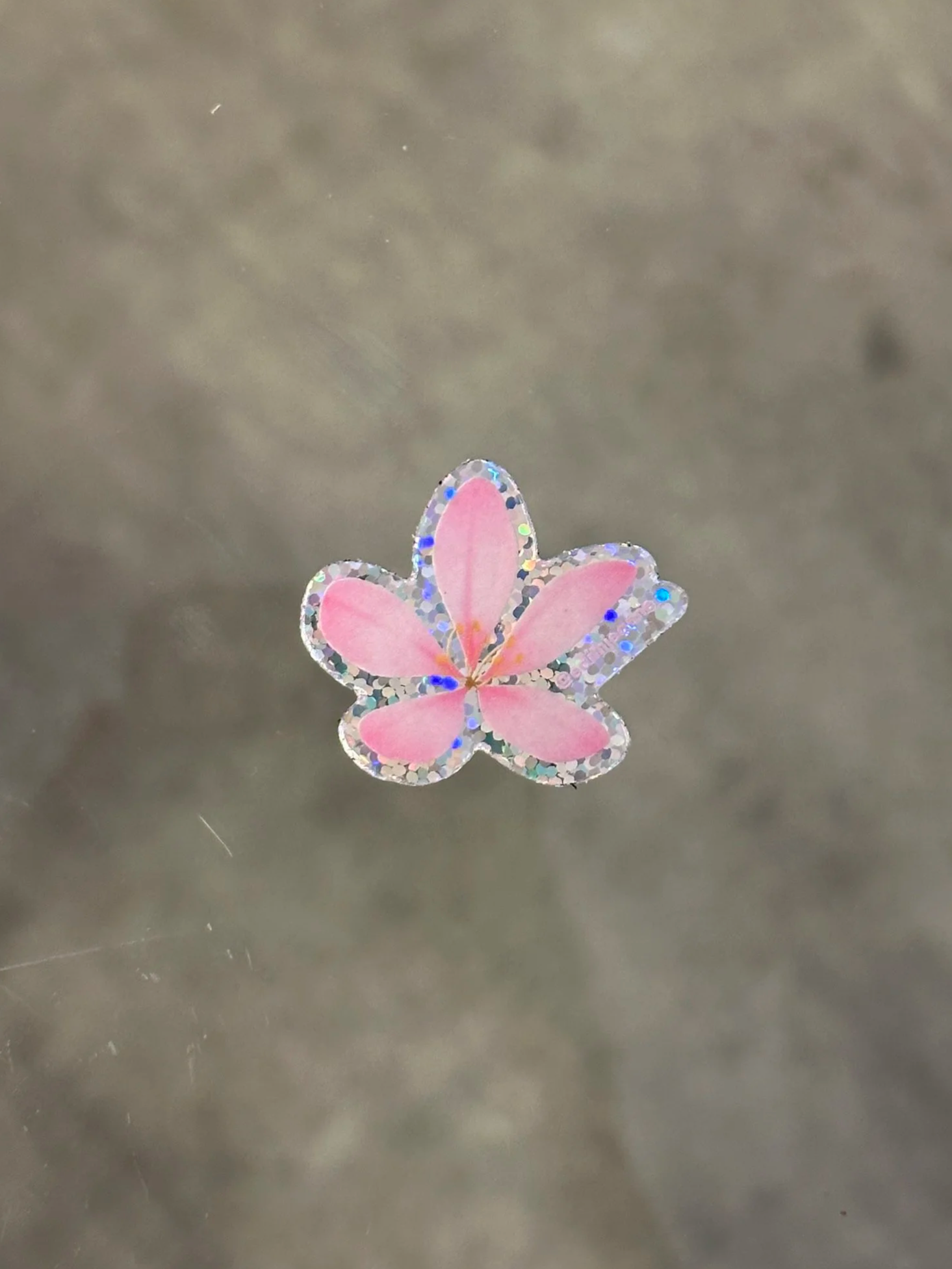 IMG_9037.png