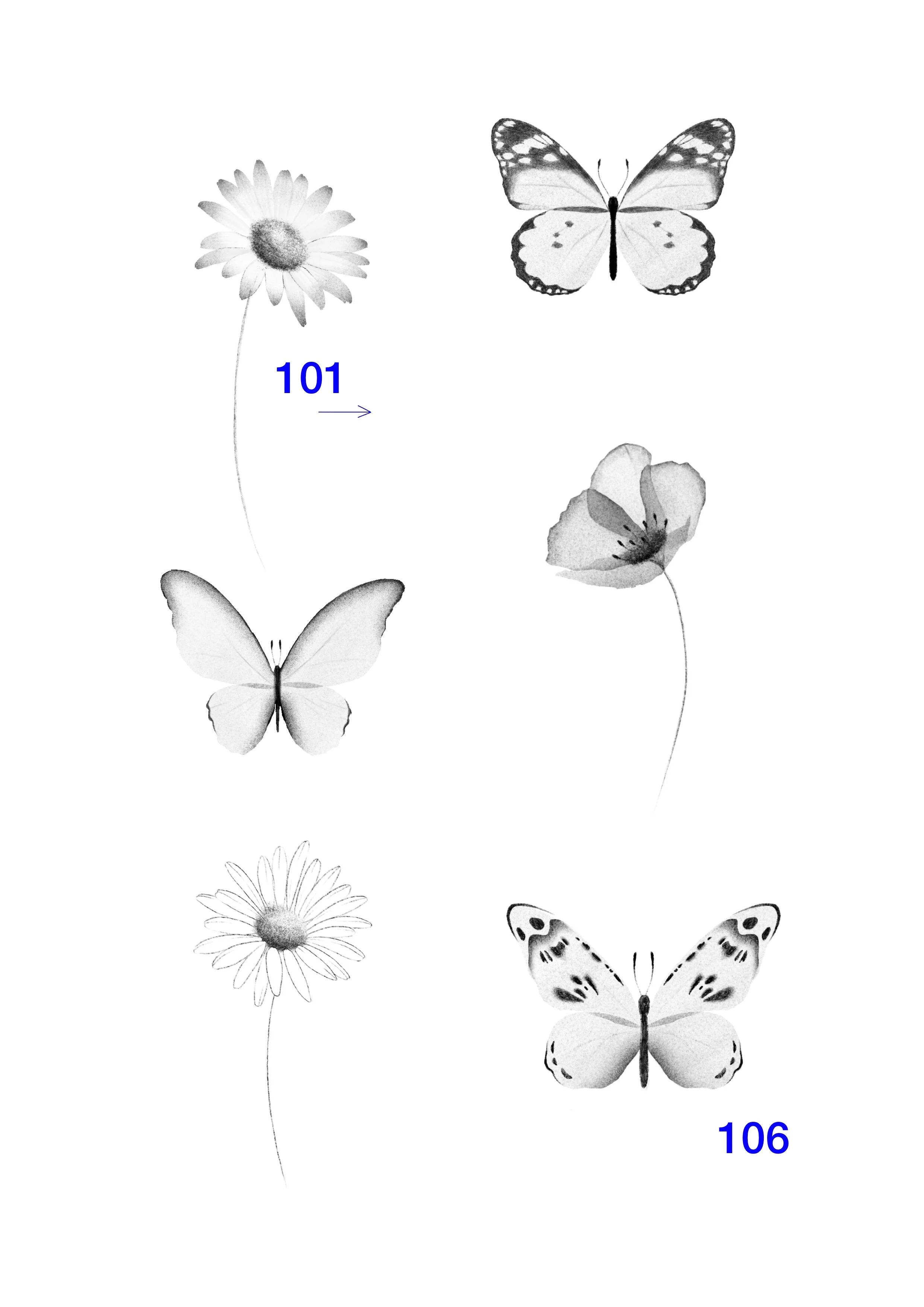 DISPO : 101 _ 102 _ 103 _ 104 _ 105