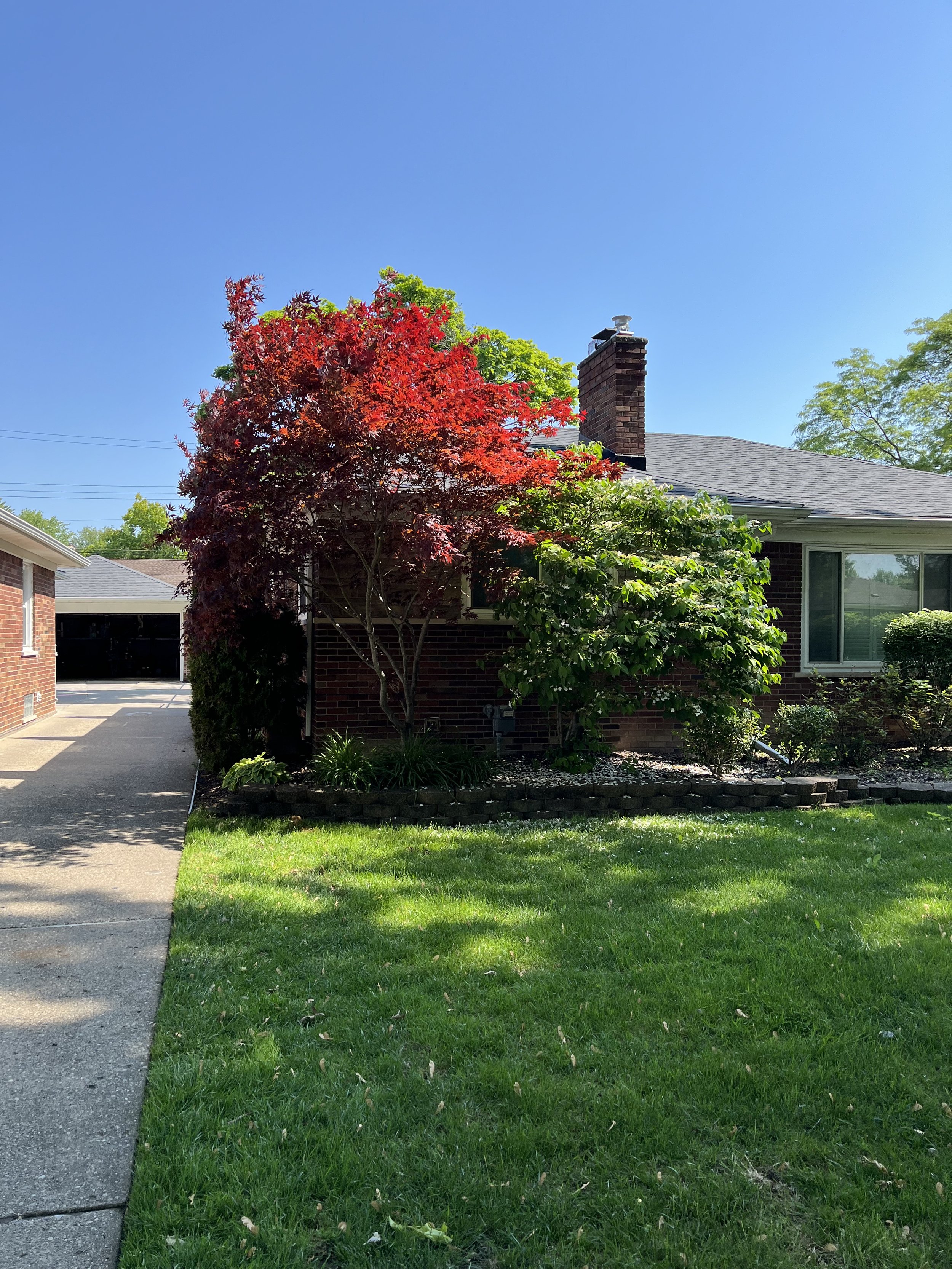 An image of Greenspacing.