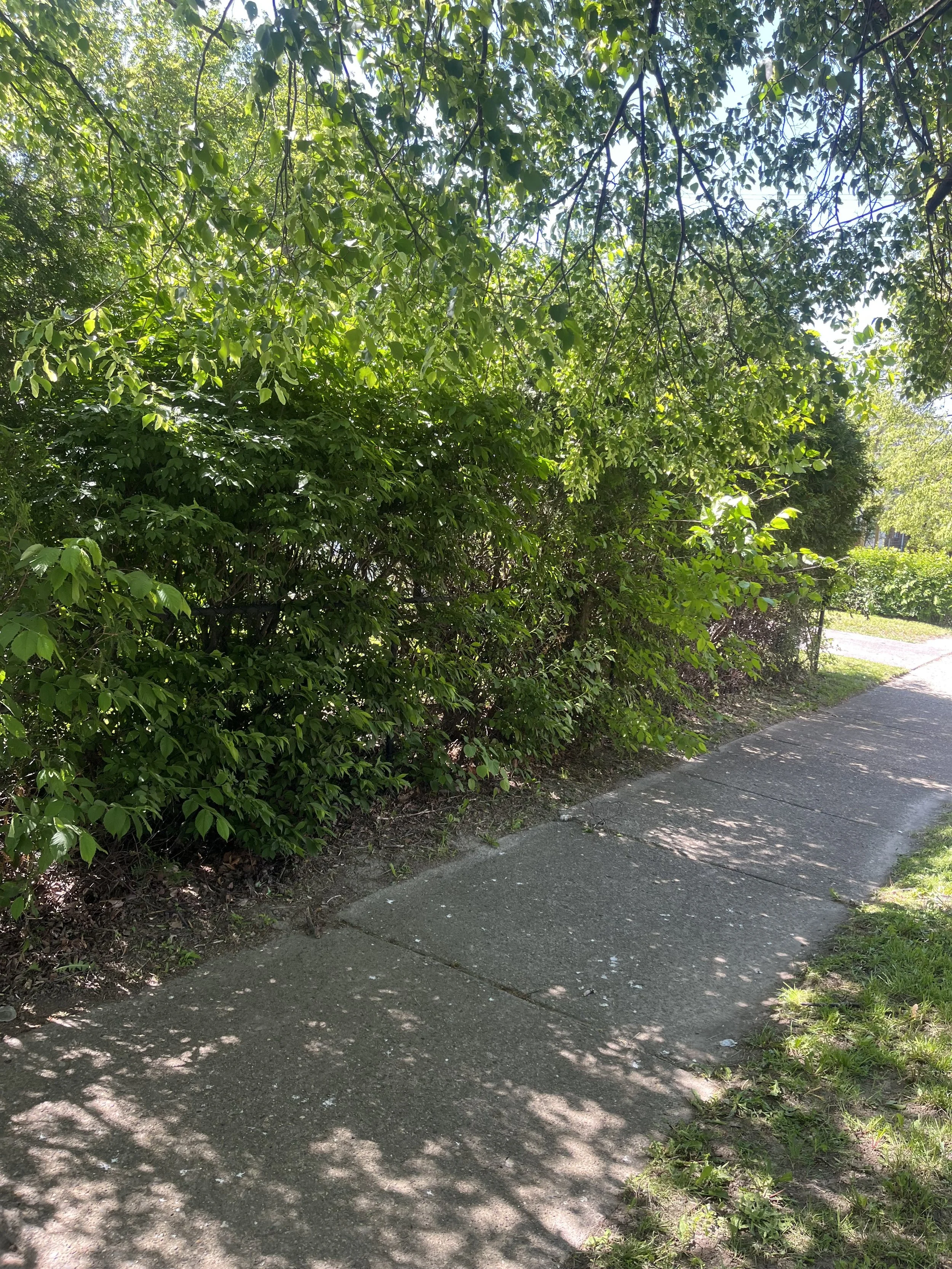 An image of the Float House.