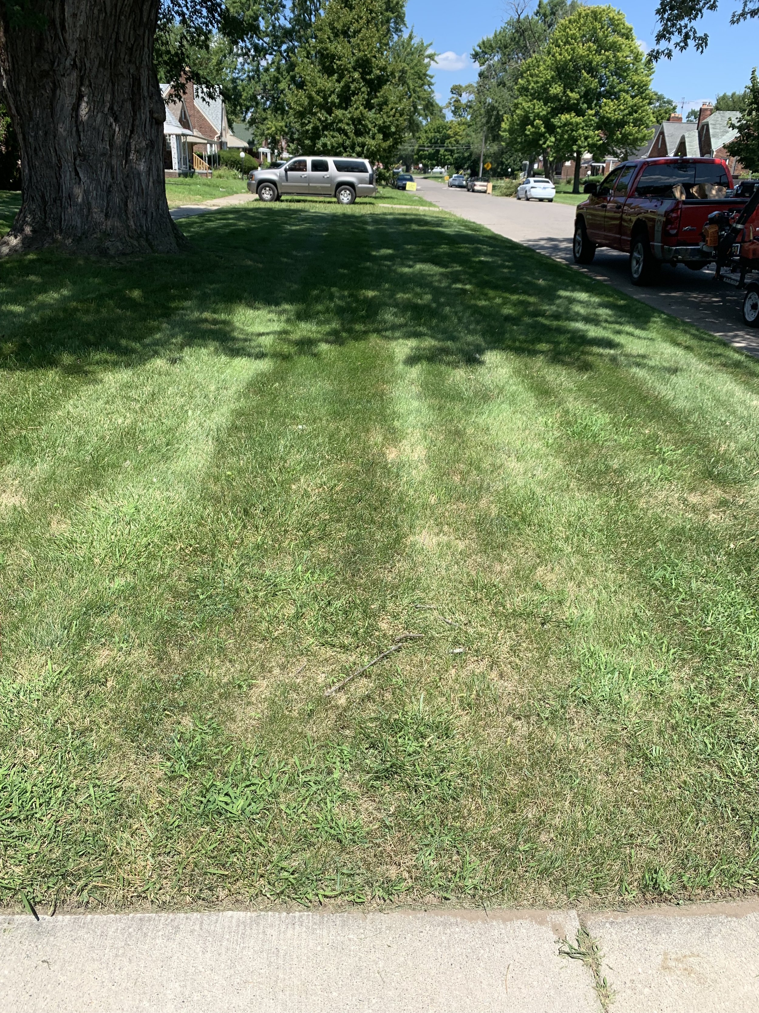 An image of the Cultural Center.