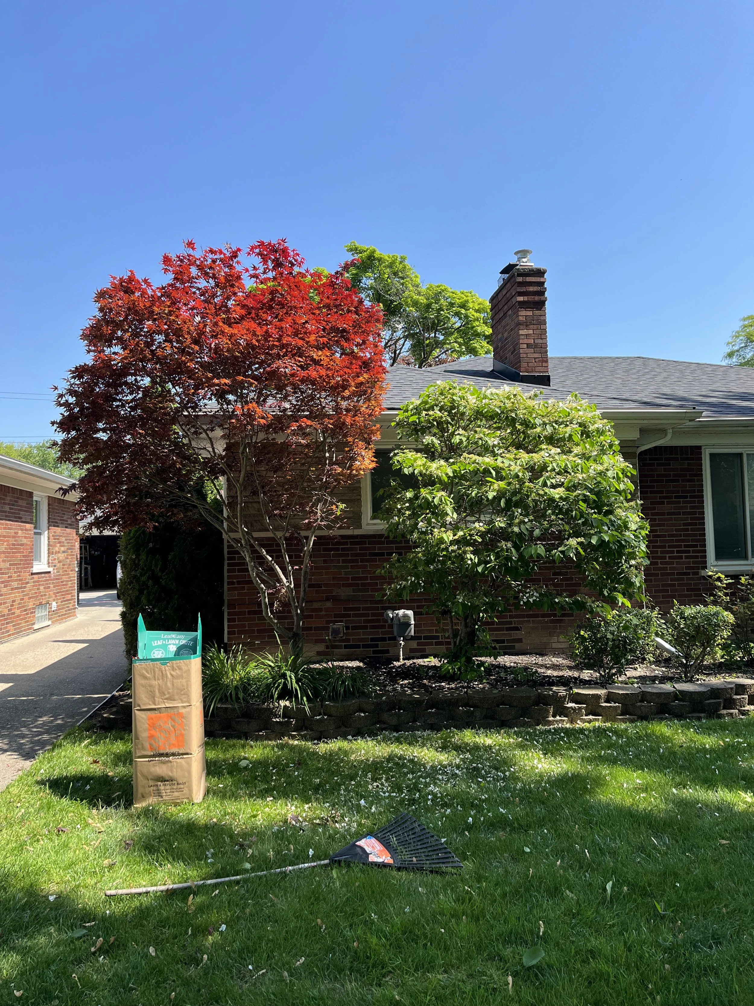 An image of Greenspacing.