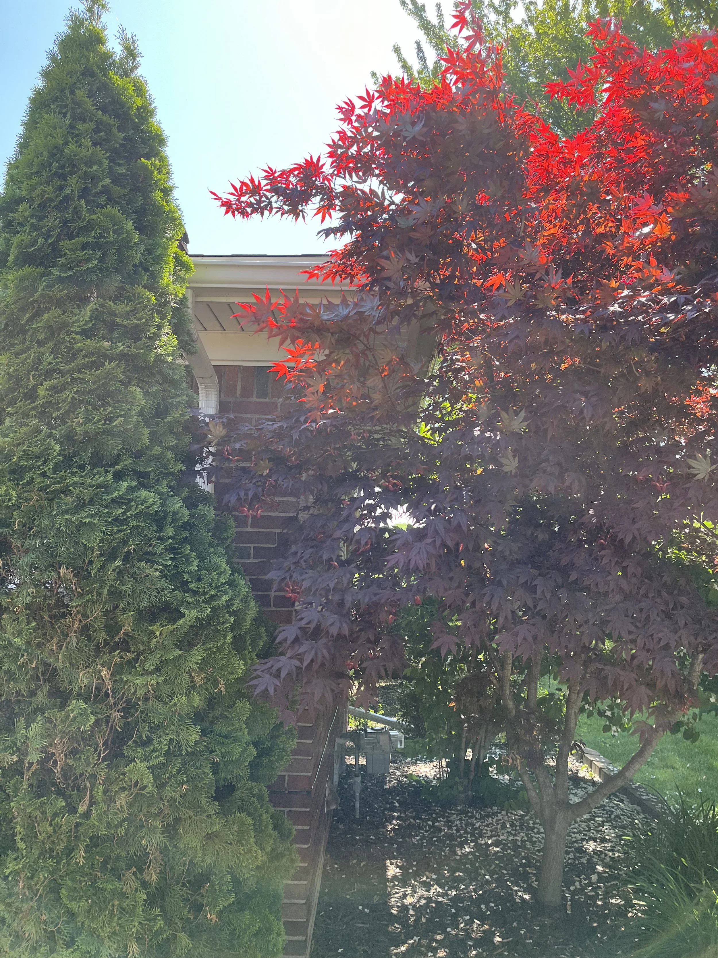 An image of Greenspacing.