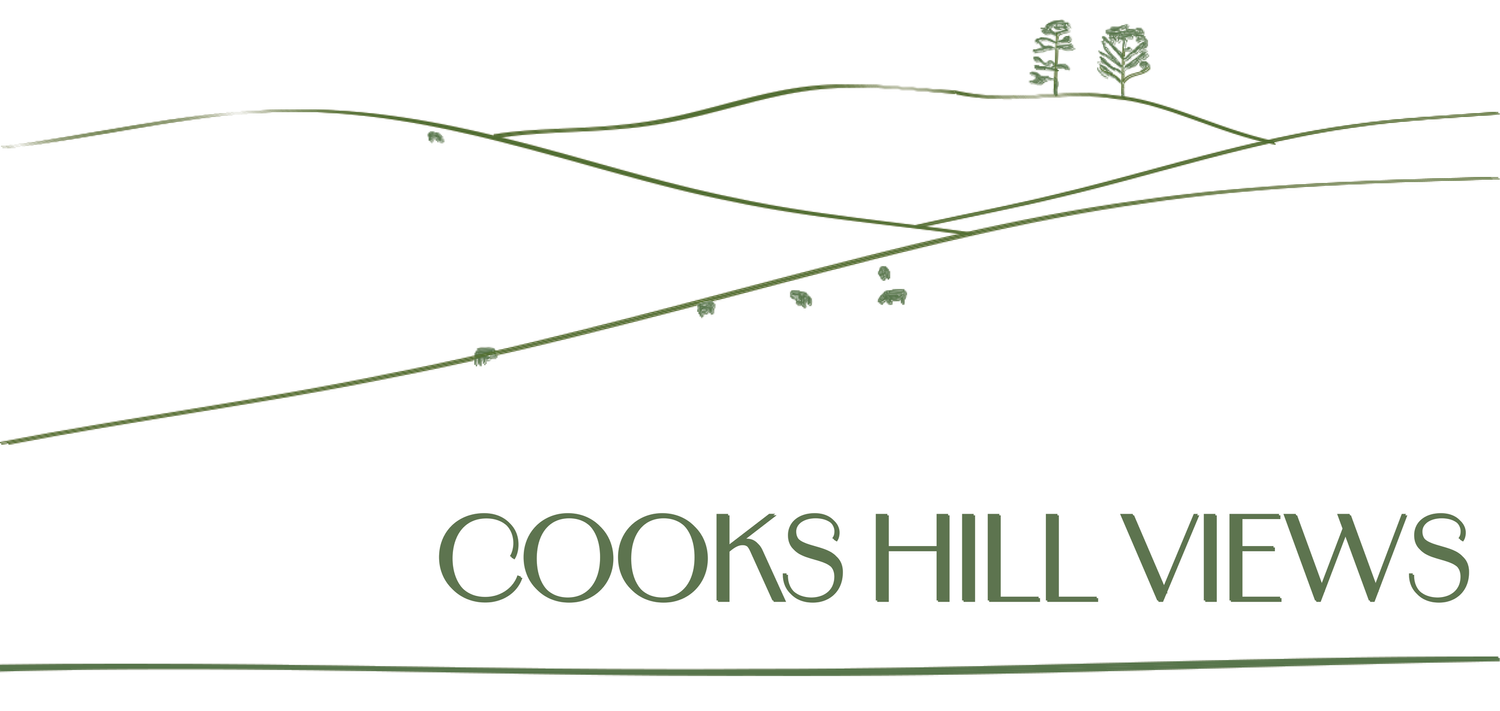 Cooks Hill Views