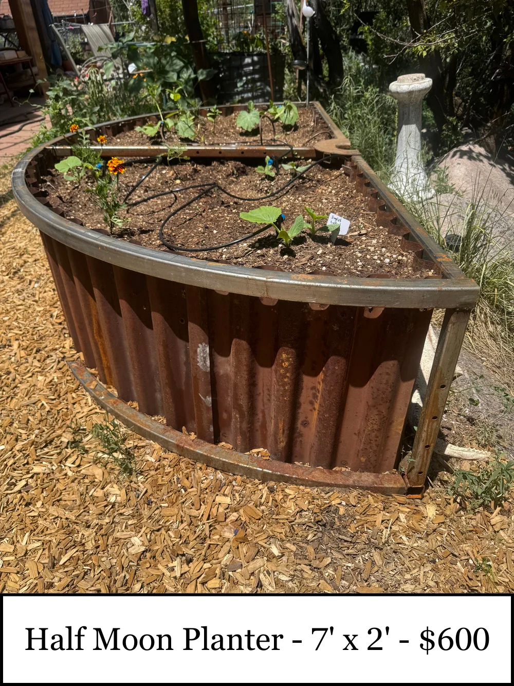 Half Moon Planter - 7' x 2' - $600.PNG