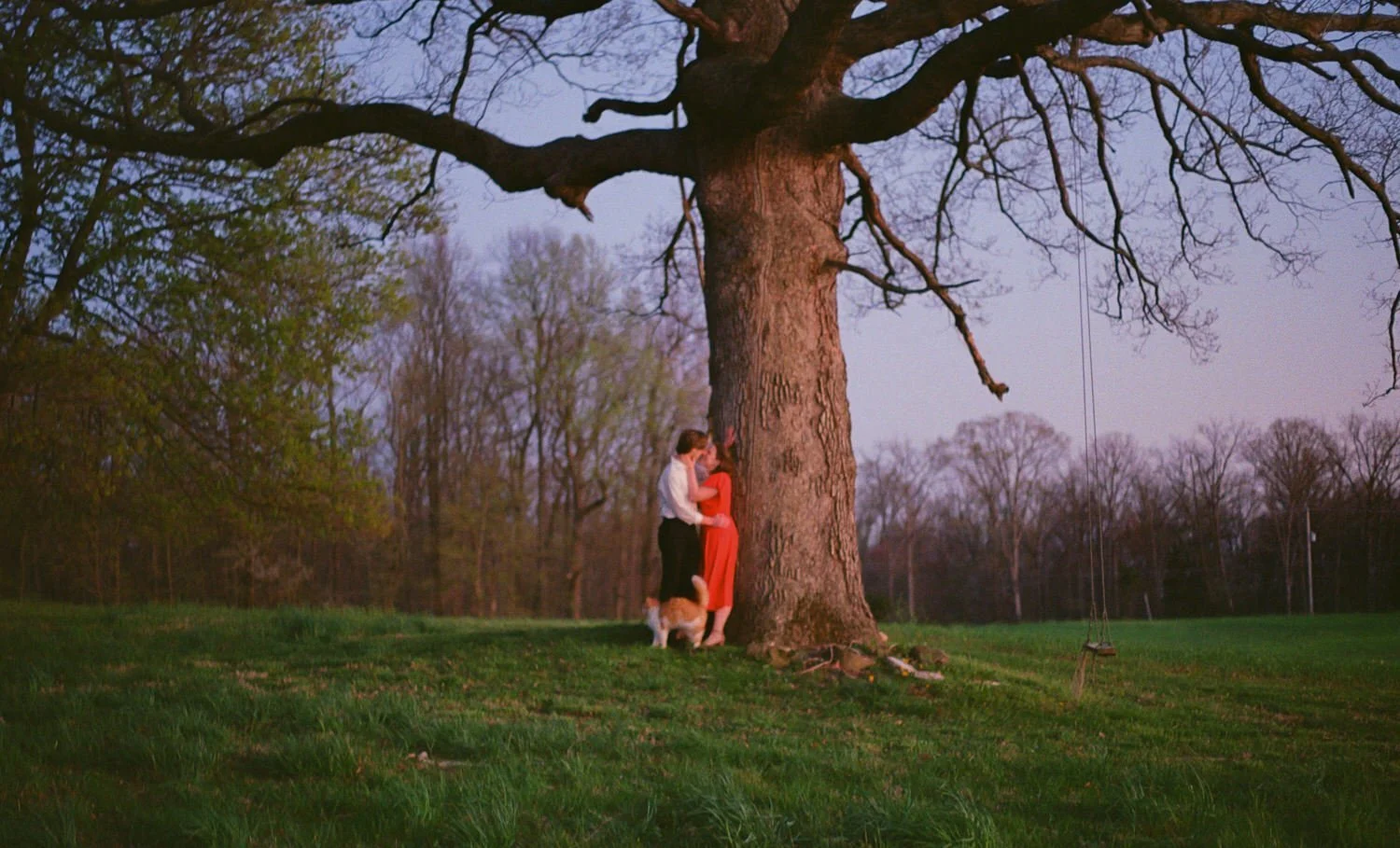 backyard engagement session by large tree