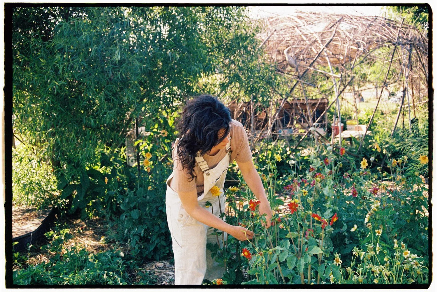 woman in overalls checking flowers at Potomac Vegetable Farm