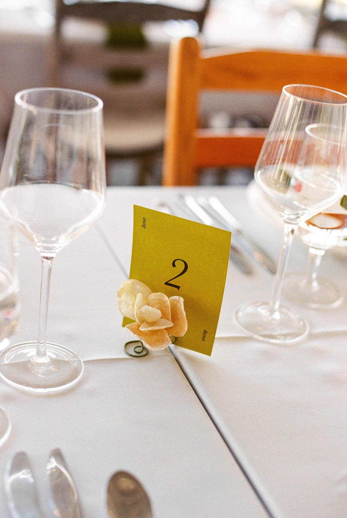 Outdoor wedding portraits film and digital - wedding photographer East coast and beyond 1.jpg