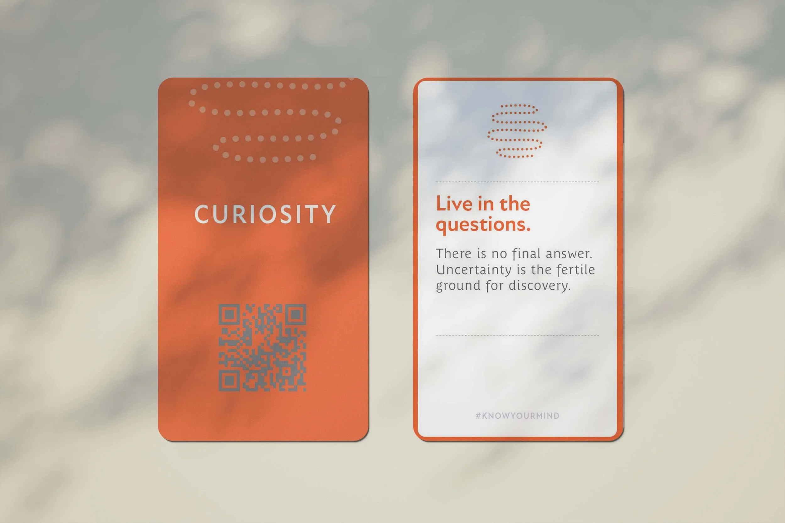 card mockup shadows.jpg