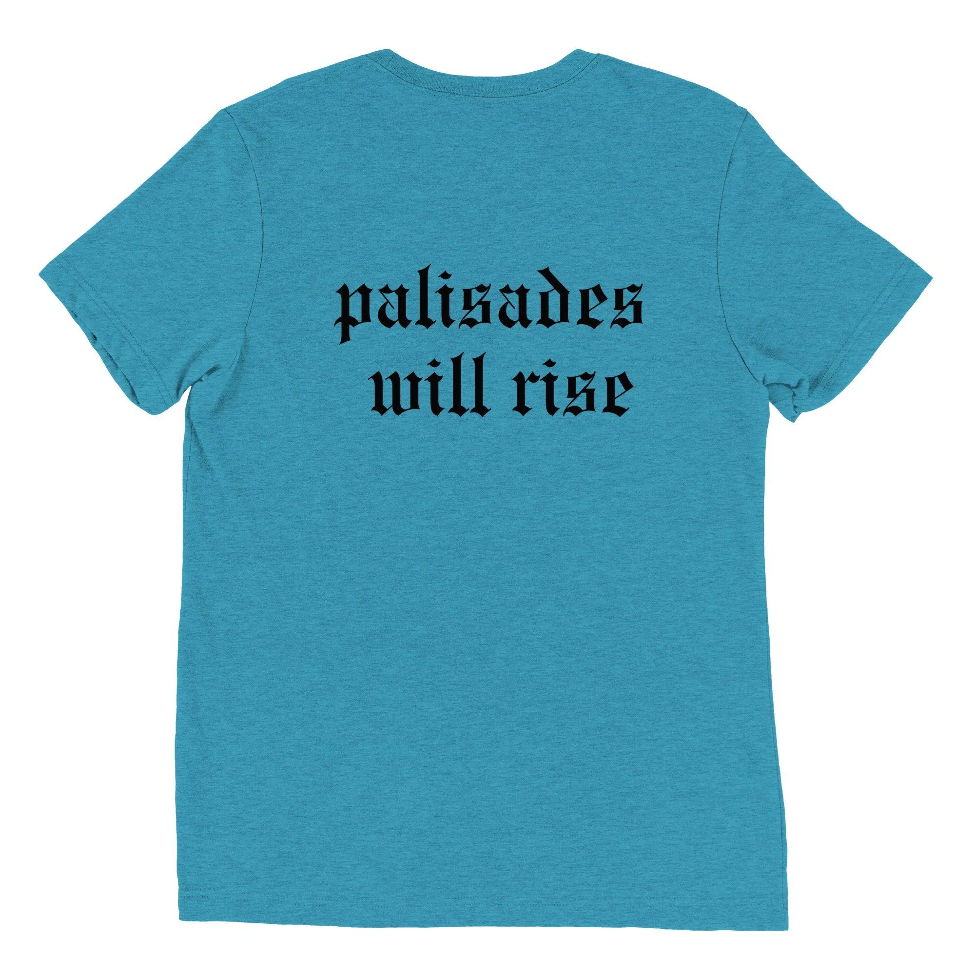 unisex-tri-blend-t-shirt-aqua-triblend-back-6793fa0b5ecfe.jpg