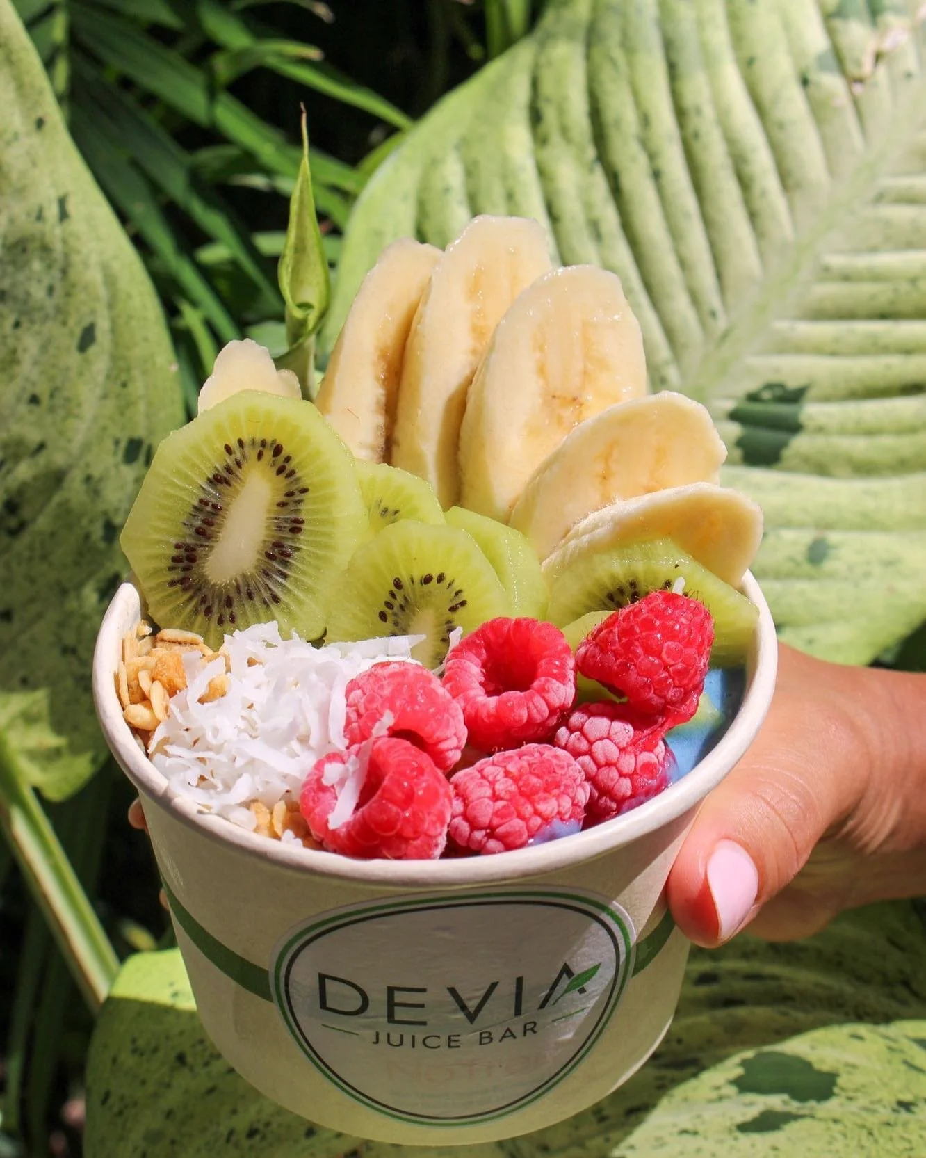A cup filled with various sliced fresh fruits including kiwi, banana, raspberry, and shredded coconut, labeled "DeVia Juice Bar", held against a background of green leaves.