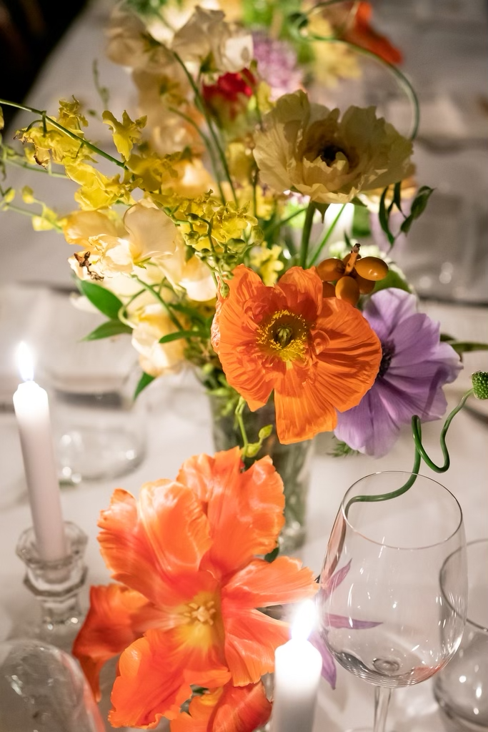 IMG_0218.png