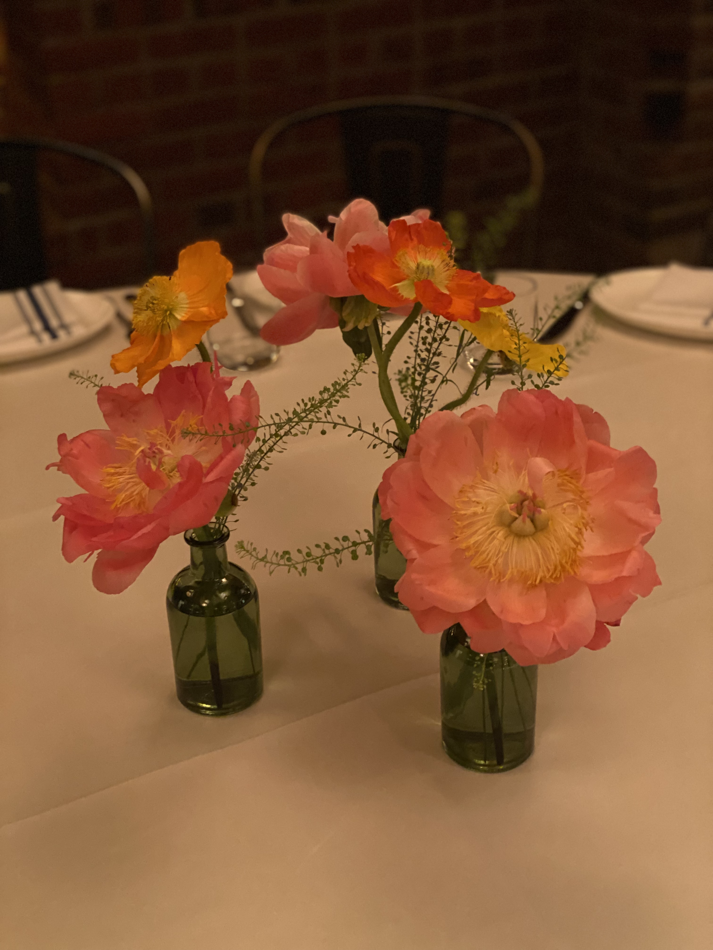 IMG_6626.png