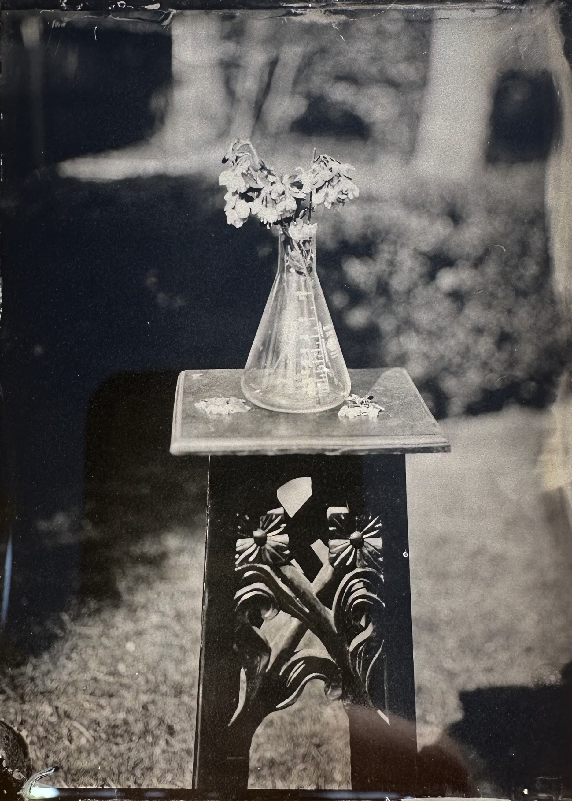 Wet Plate Collodion