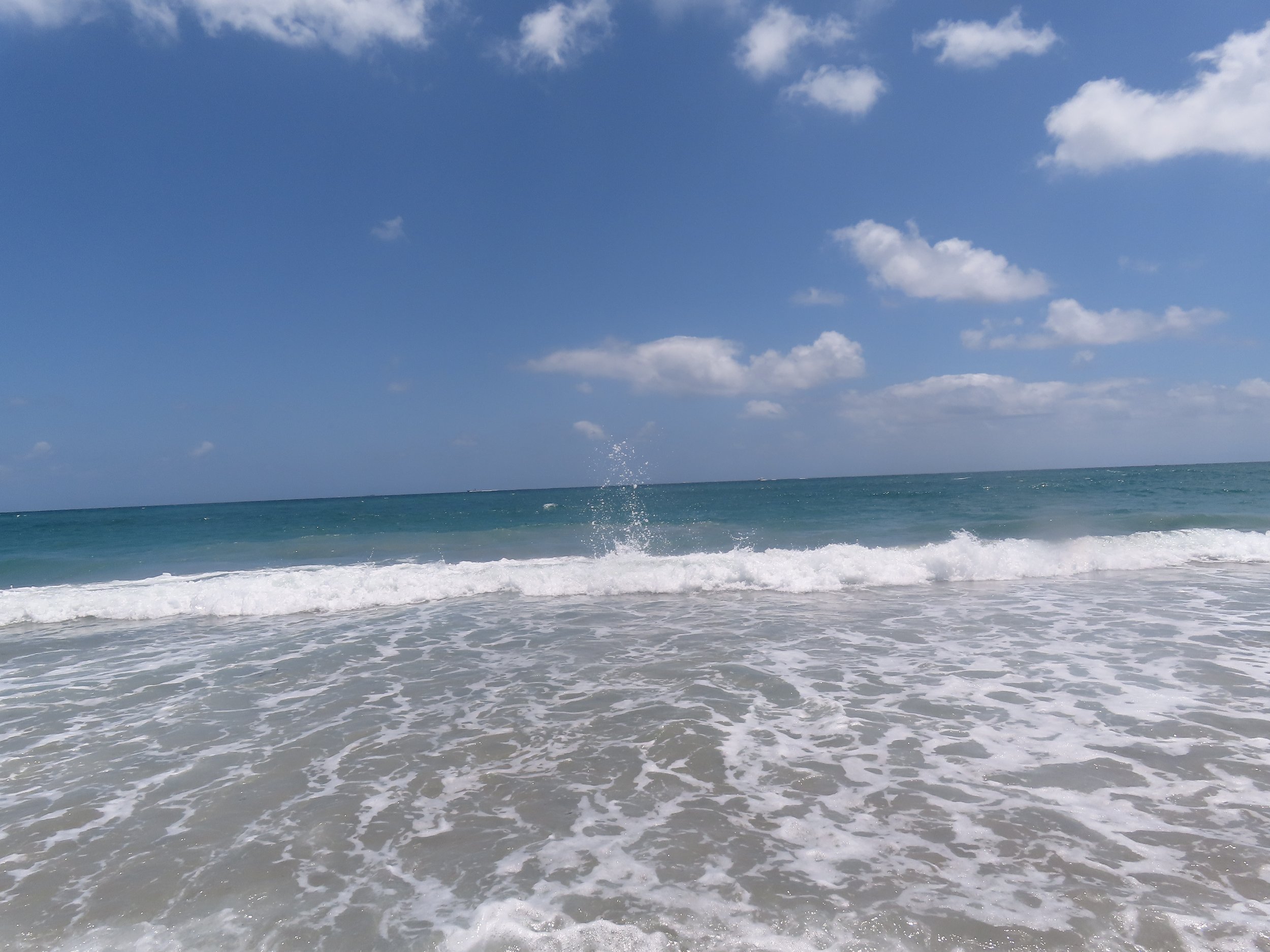 IMG_1366.jpeg