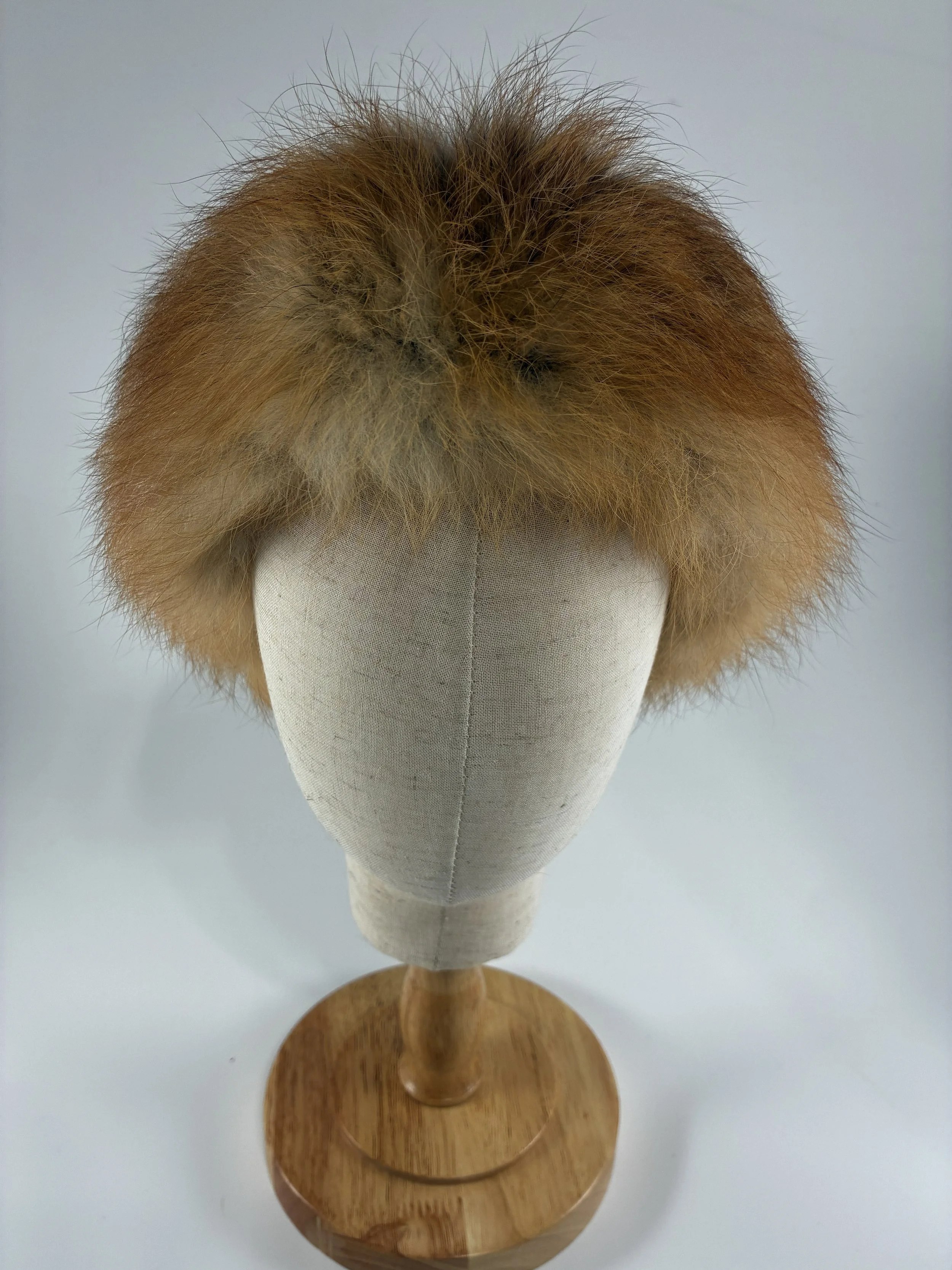 Red fox HB 2.jpg
