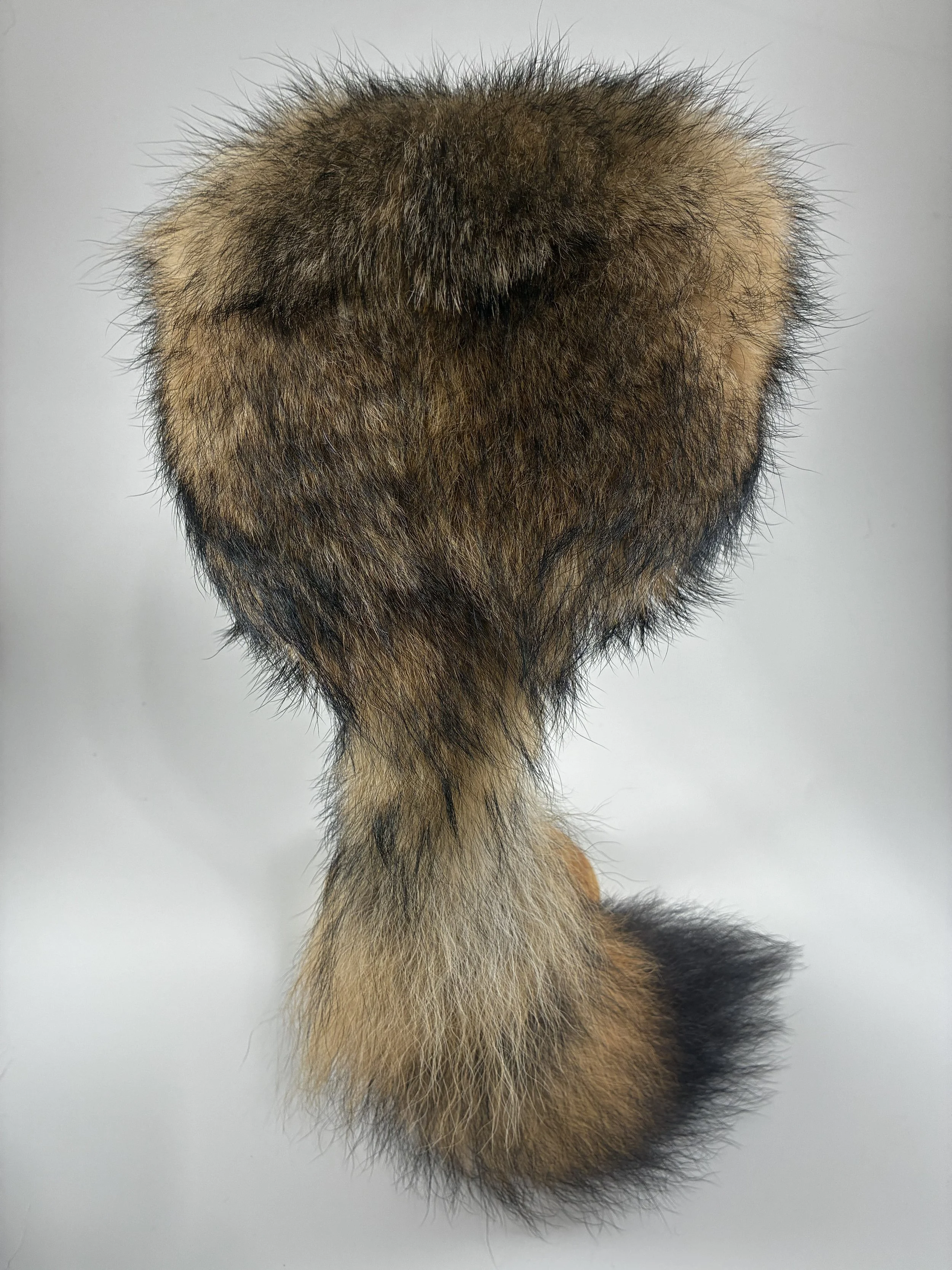 Coyote Cap 3.jpg