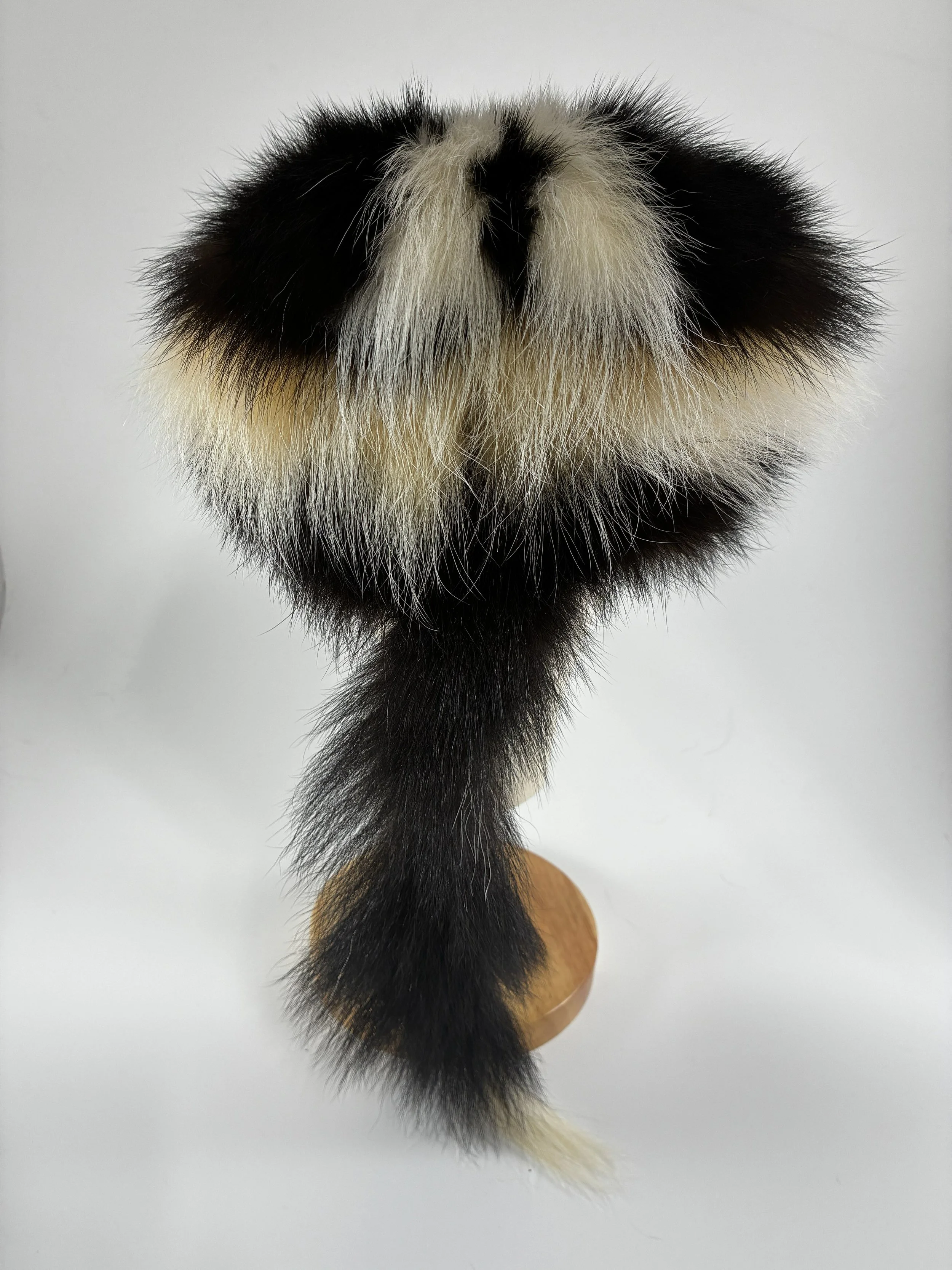 Skunk w face 3.jpg