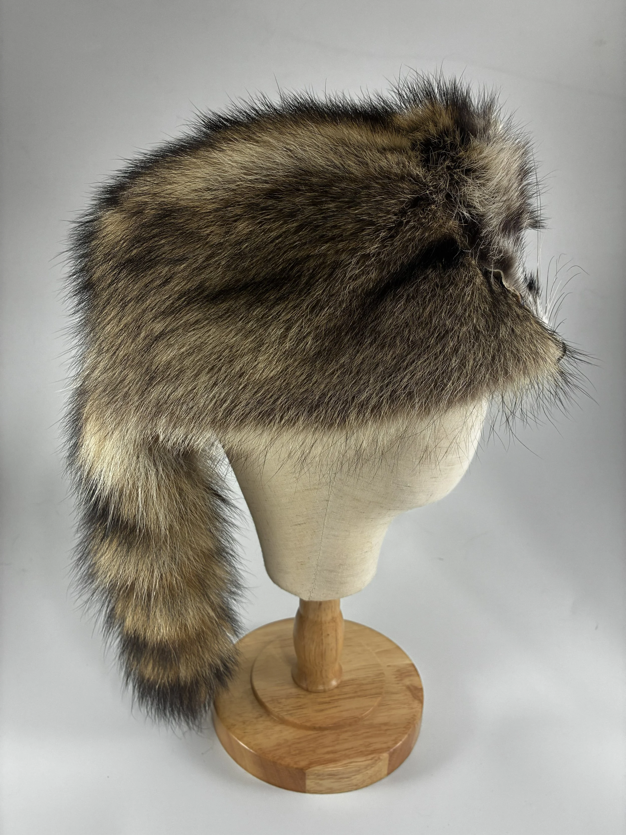 Coon w face 3.jpg
