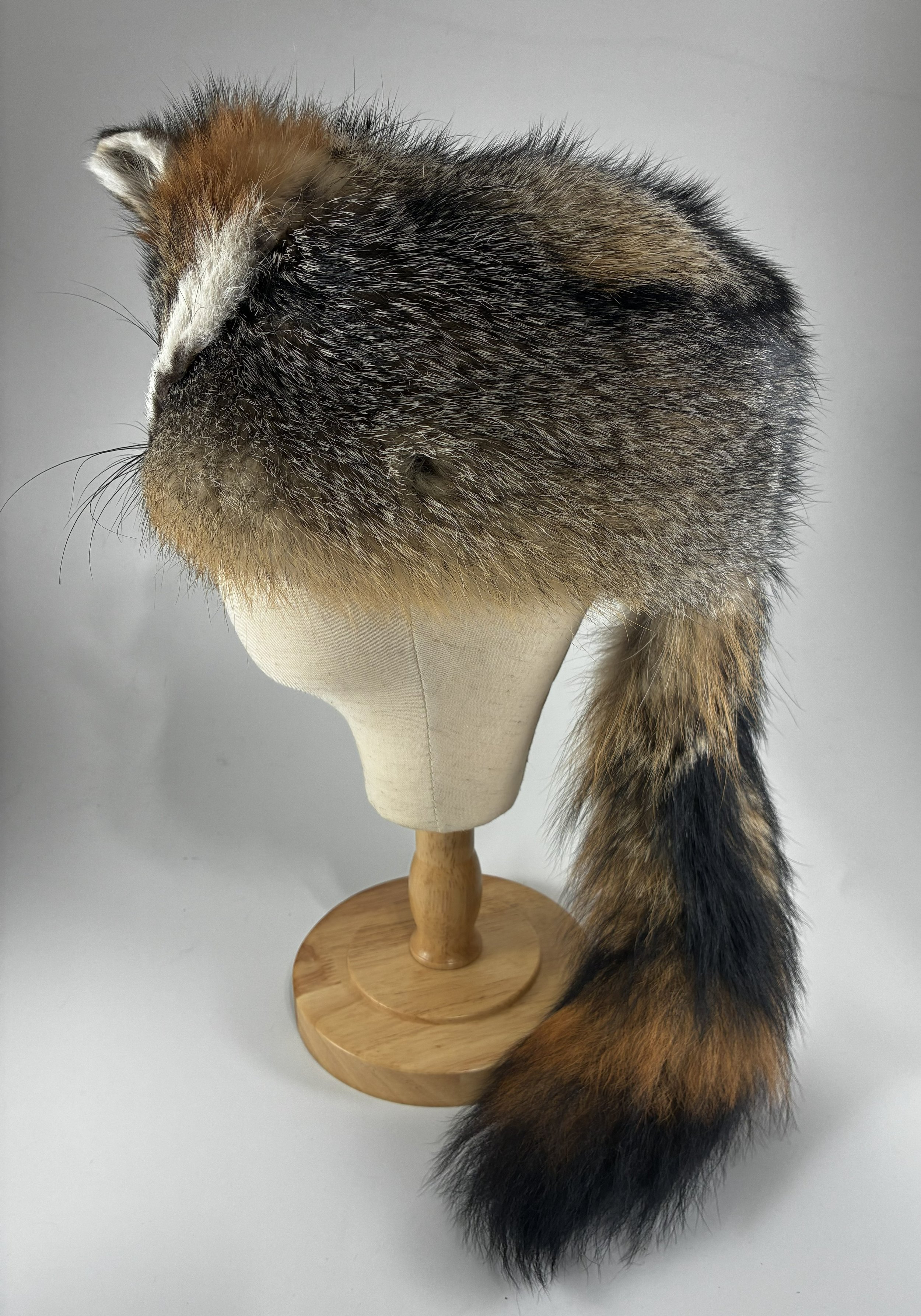 Gray fox w face 2.jpg