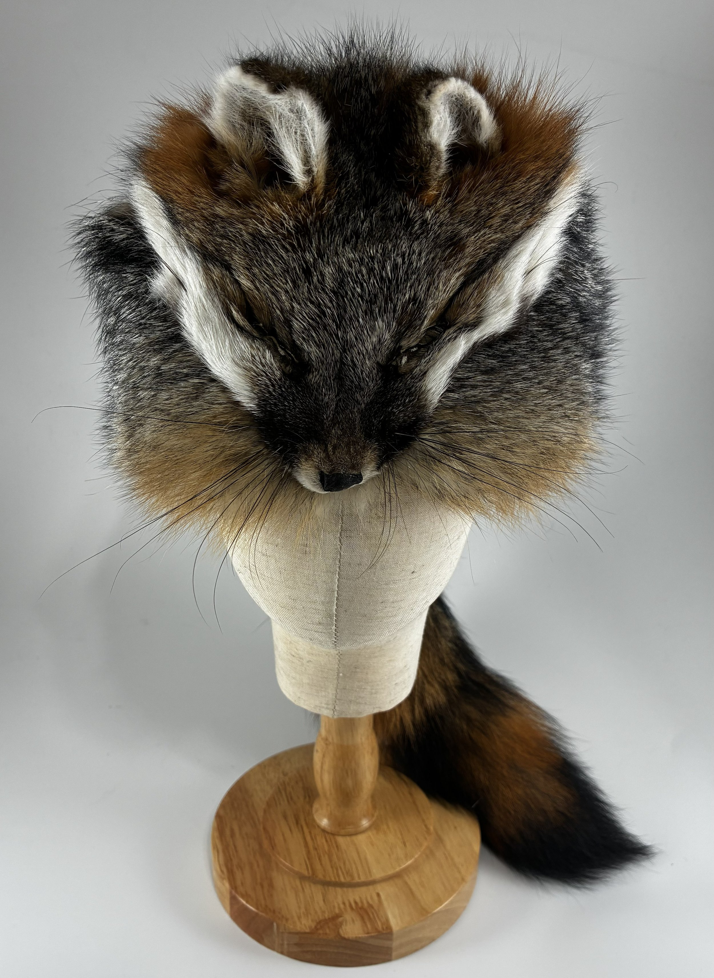 Gray fox Cap 1.jpg