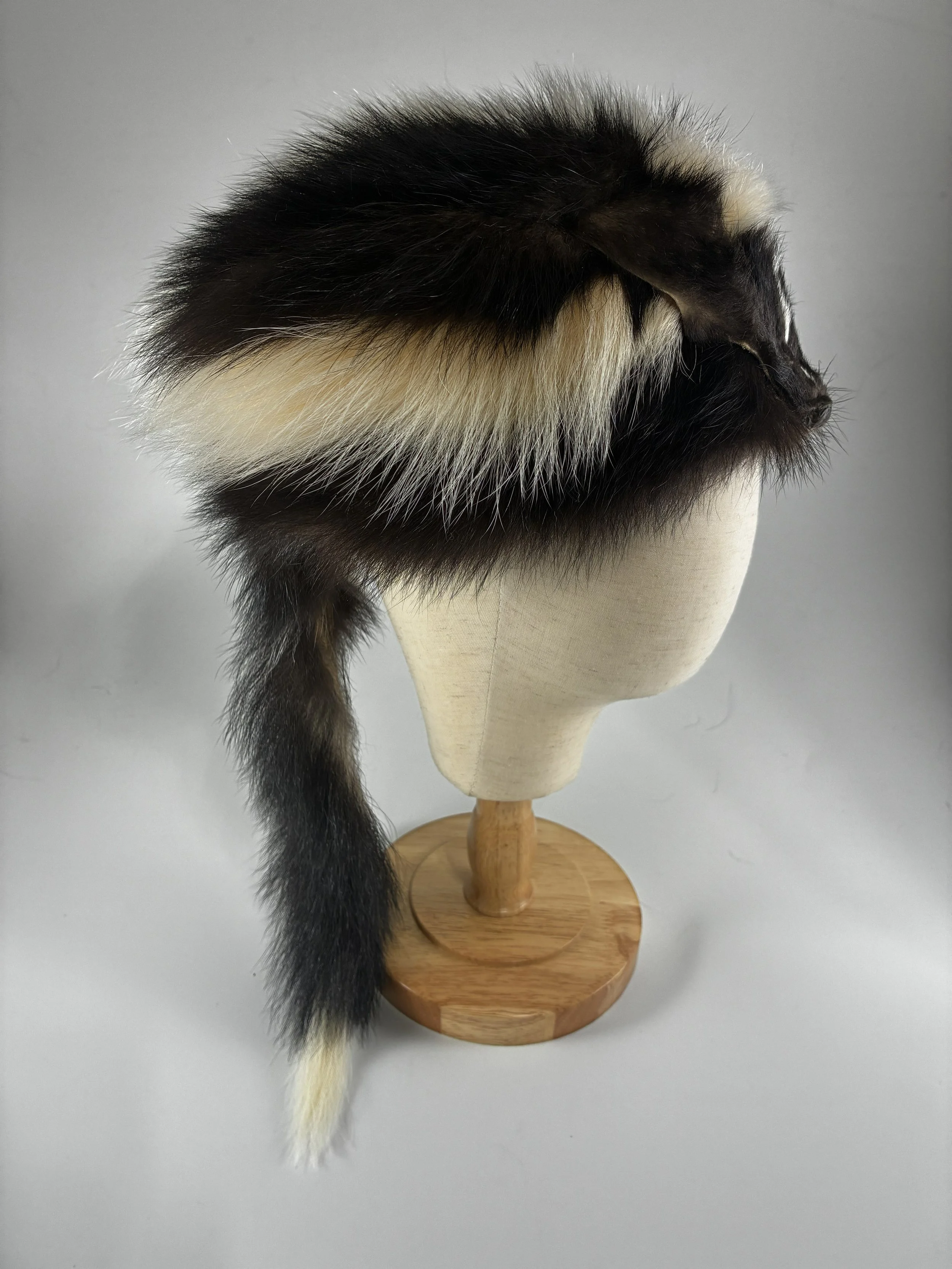 Skunk w face 1.jpg