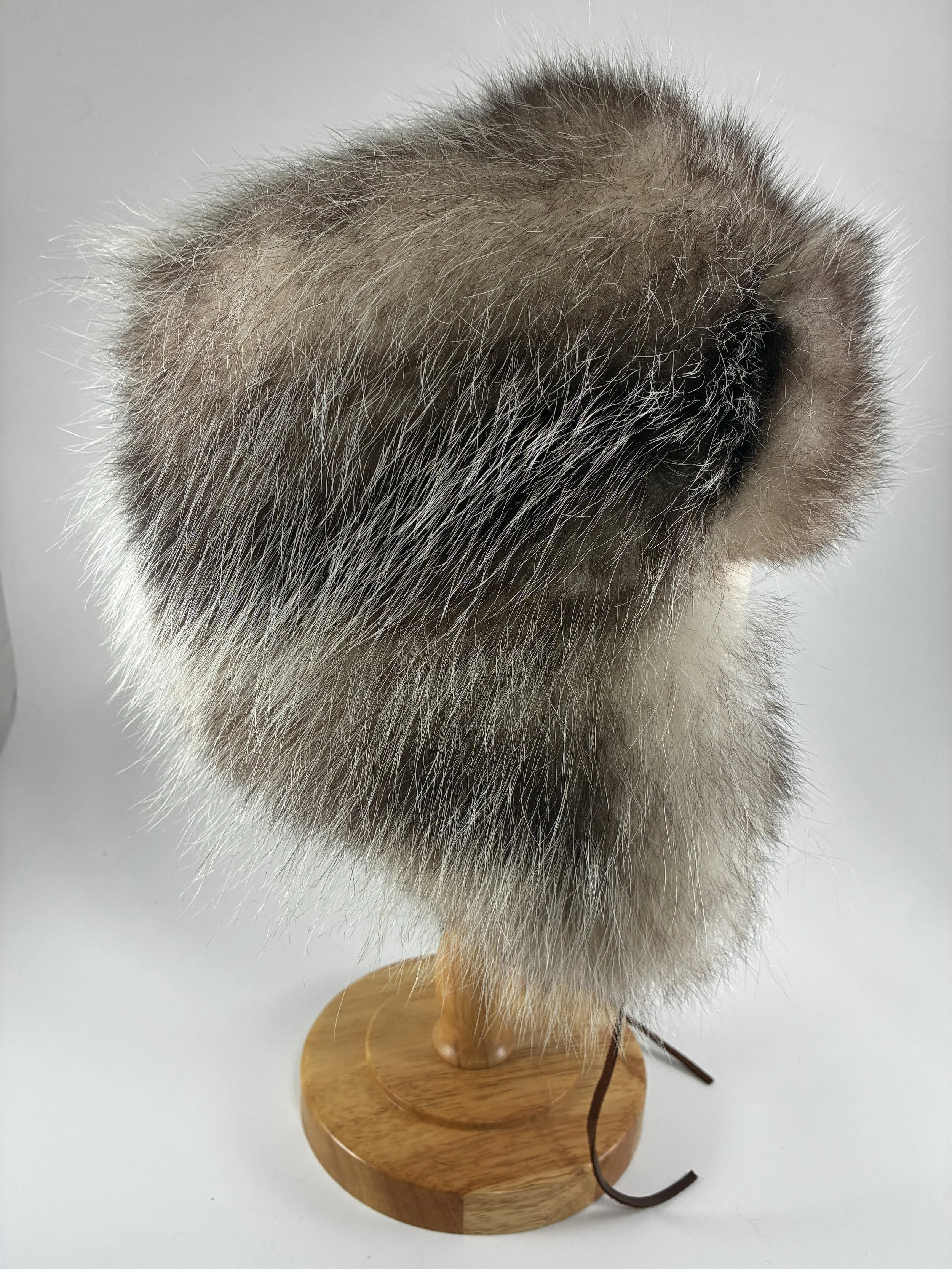 possum trooper 3.jpg