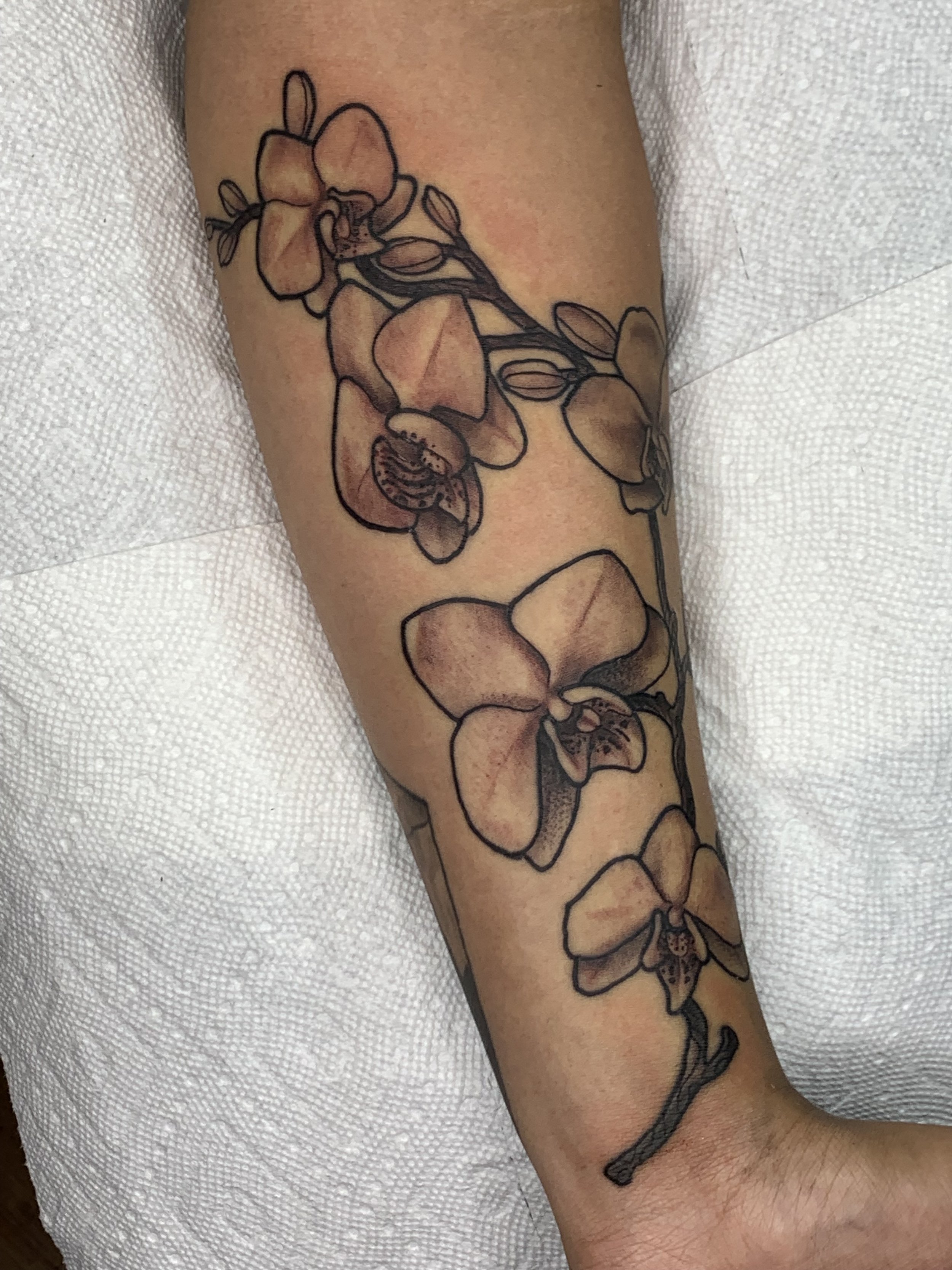 IMG_8625.jpeg
