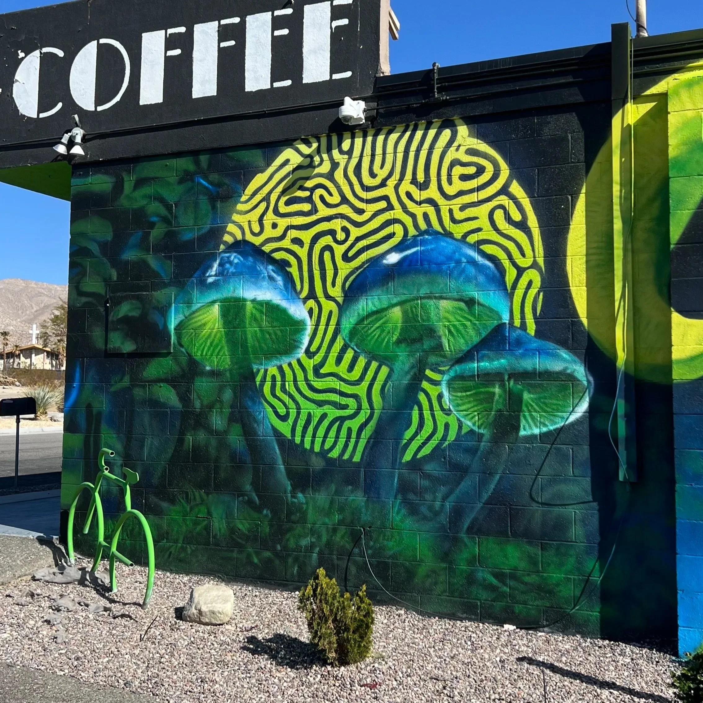 90' x 15' Psychedelic interpretation of desert life - Desert Hot Springs CA
