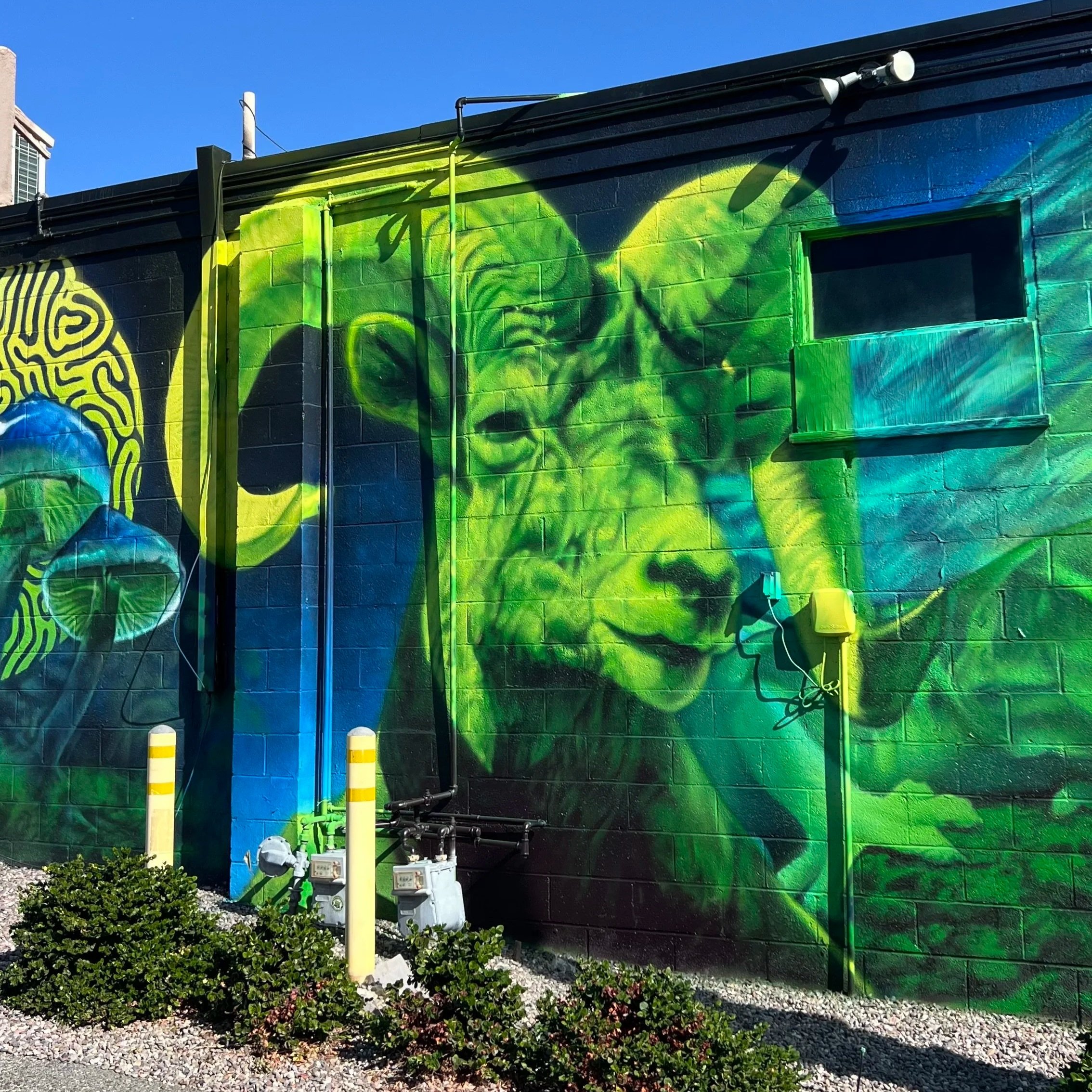 90' x 15' Psychedelic interpretation of desert life - Desert Hot Springs CA