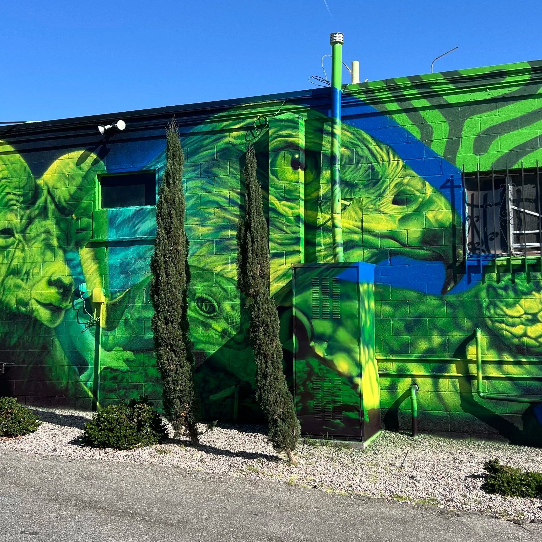 90' x 15' Psychedelic interpretation of desert life - Desert Hot Springs CA