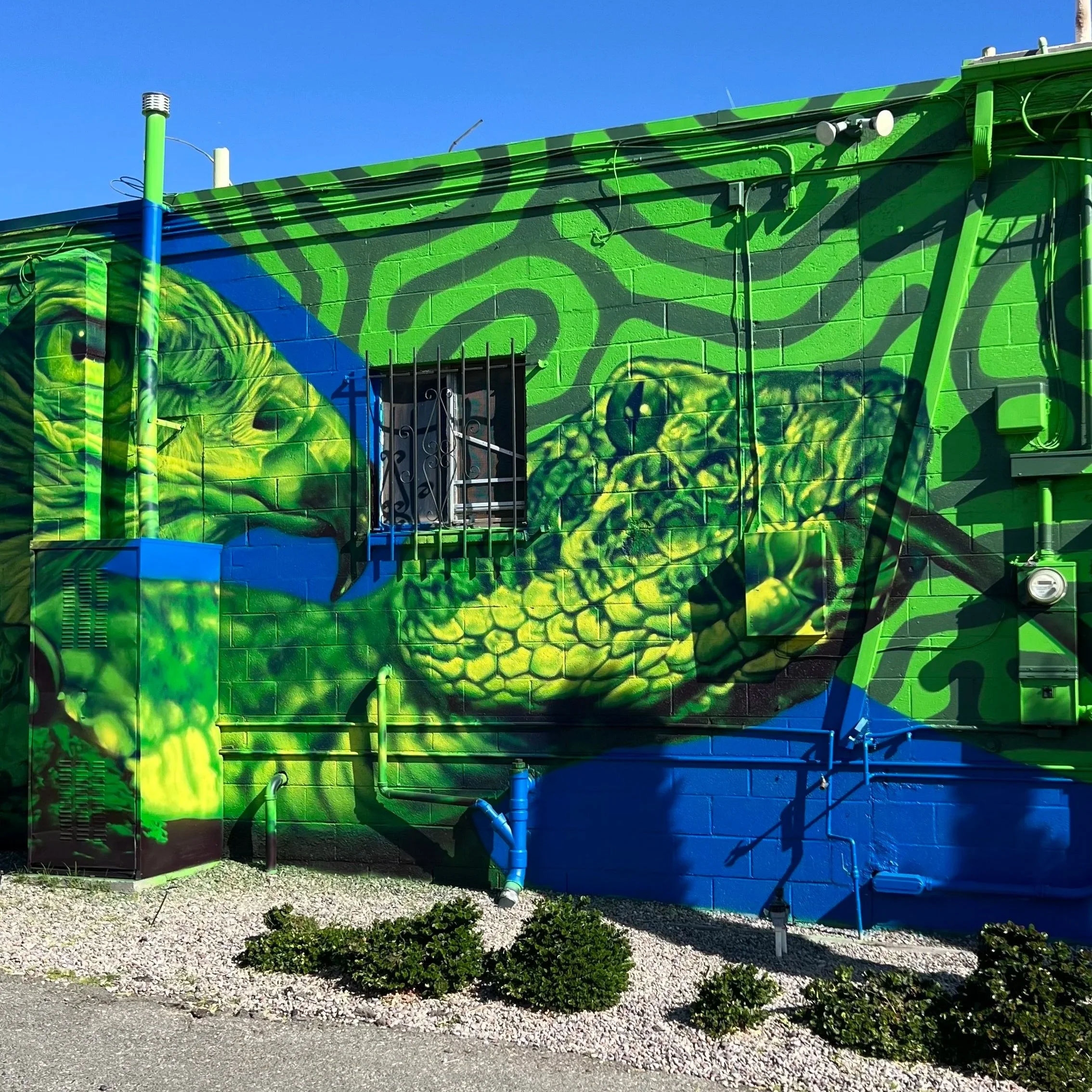 90' x 15' Psychedelic interpretation of desert life - Desert Hot Springs CA