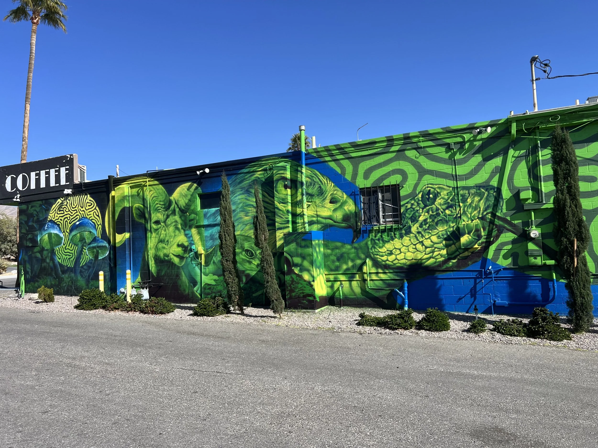 90' x 15' Psychedelic interpretation of desert life - Desert Hot Springs CA