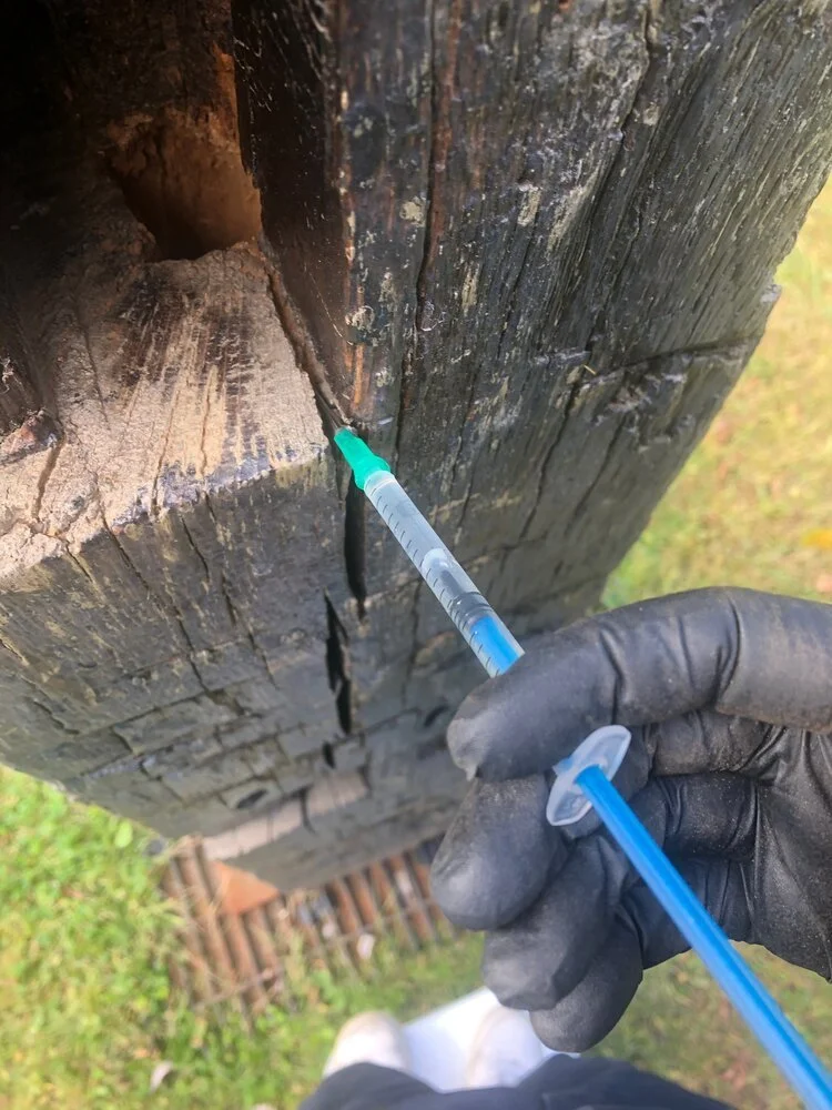 Injecting Consolidant into sculpture Toronto