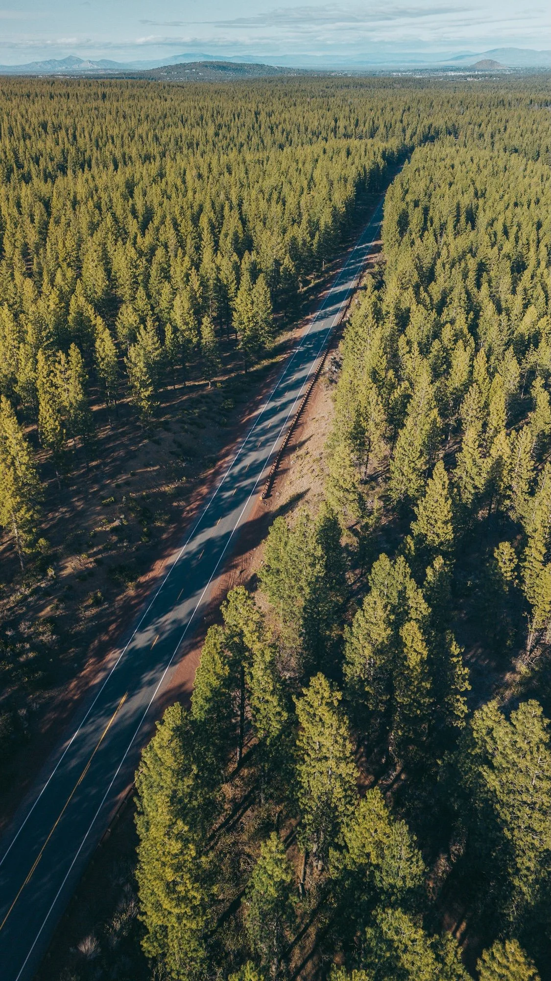 DJI_20240408173918_0003_D_MINI4.jpg