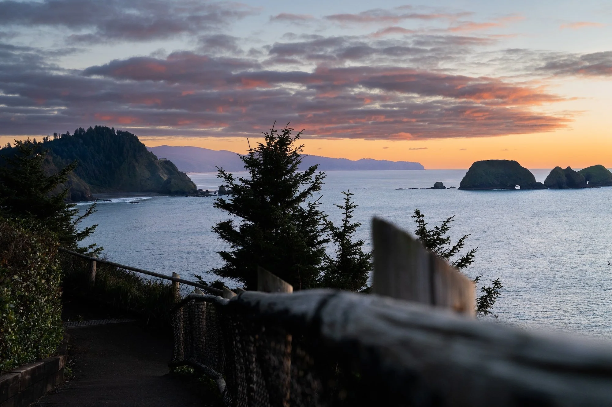 A7R04038.jpg