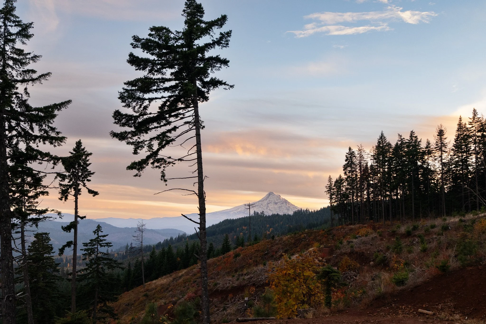 A7R07189.jpg
