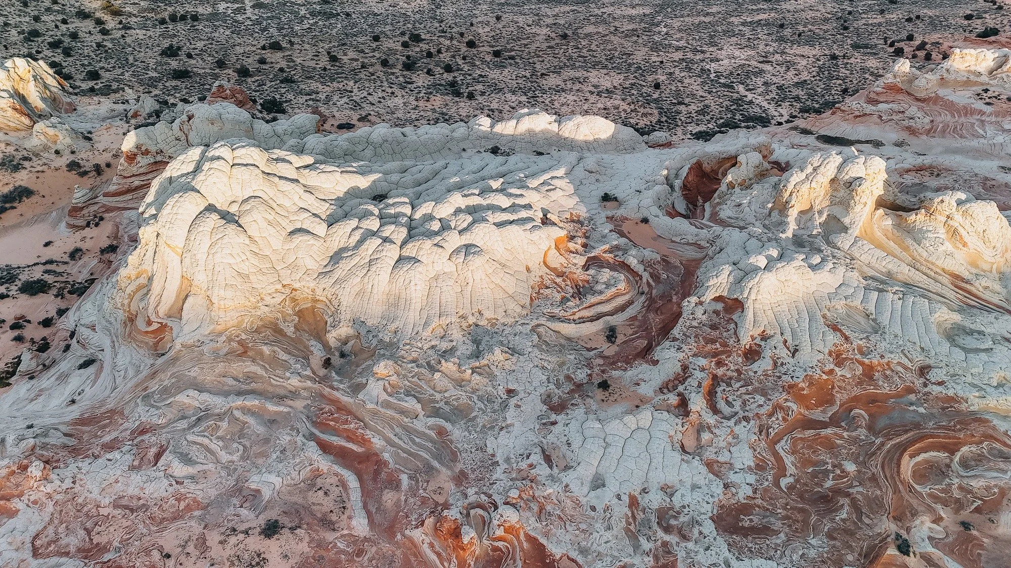 DJI_20260202065442_0008_D_MINI4.jpg