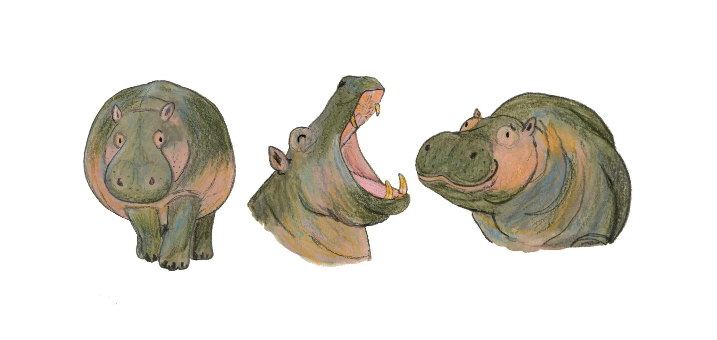 img20250223_21084152 2.jpg