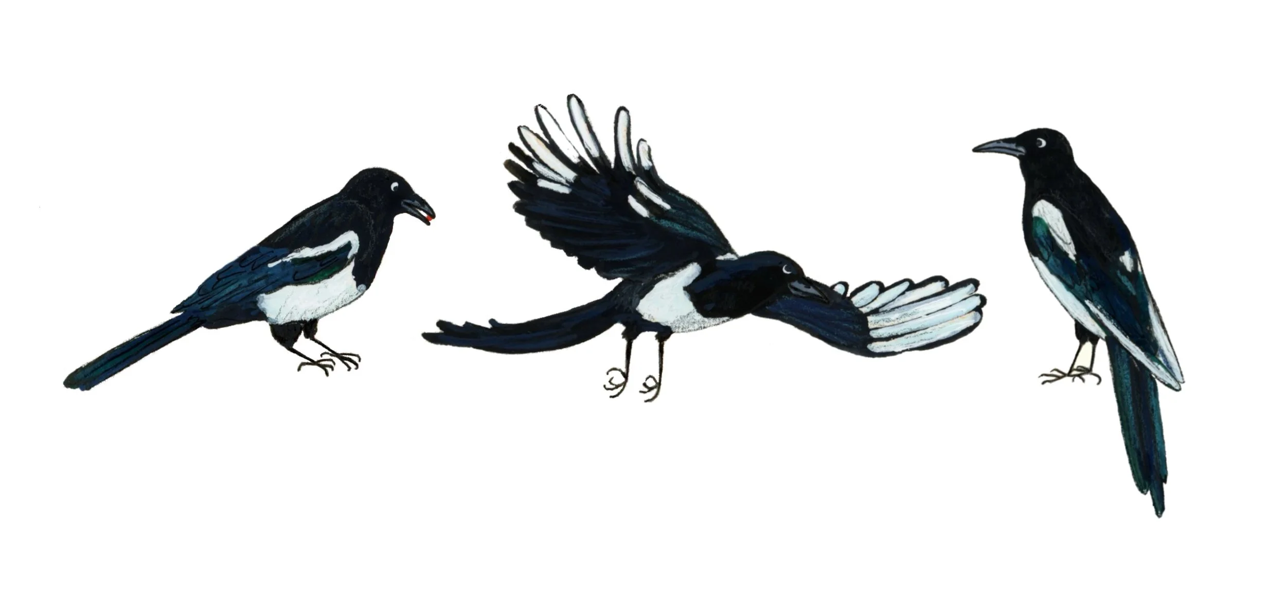 img20250223_21102461 2.jpg