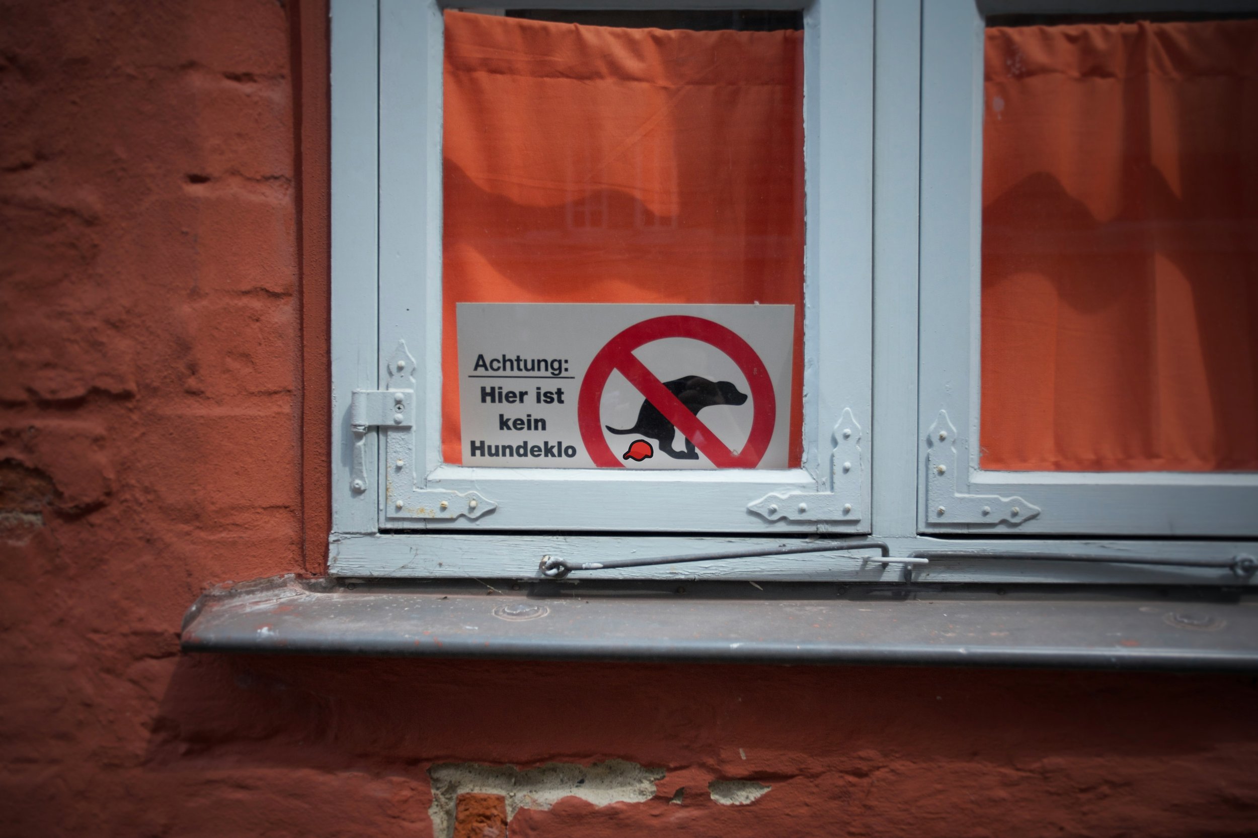 window.jpg