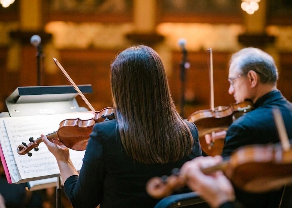 Orchestra musicians playing violins in a concert hall. The woman being Marija Bubanji.