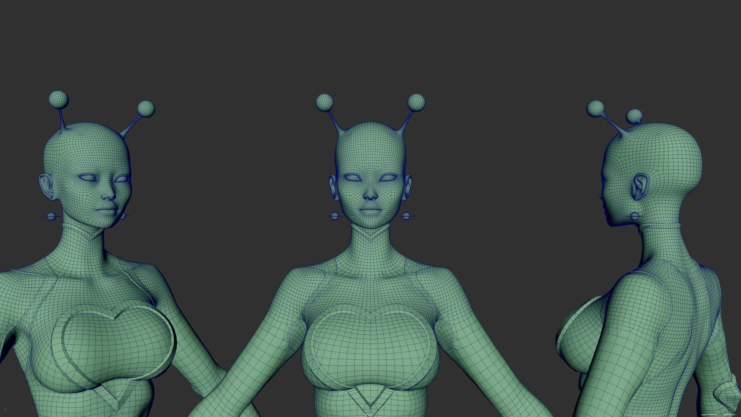 wireframe_bust.-001.jpg