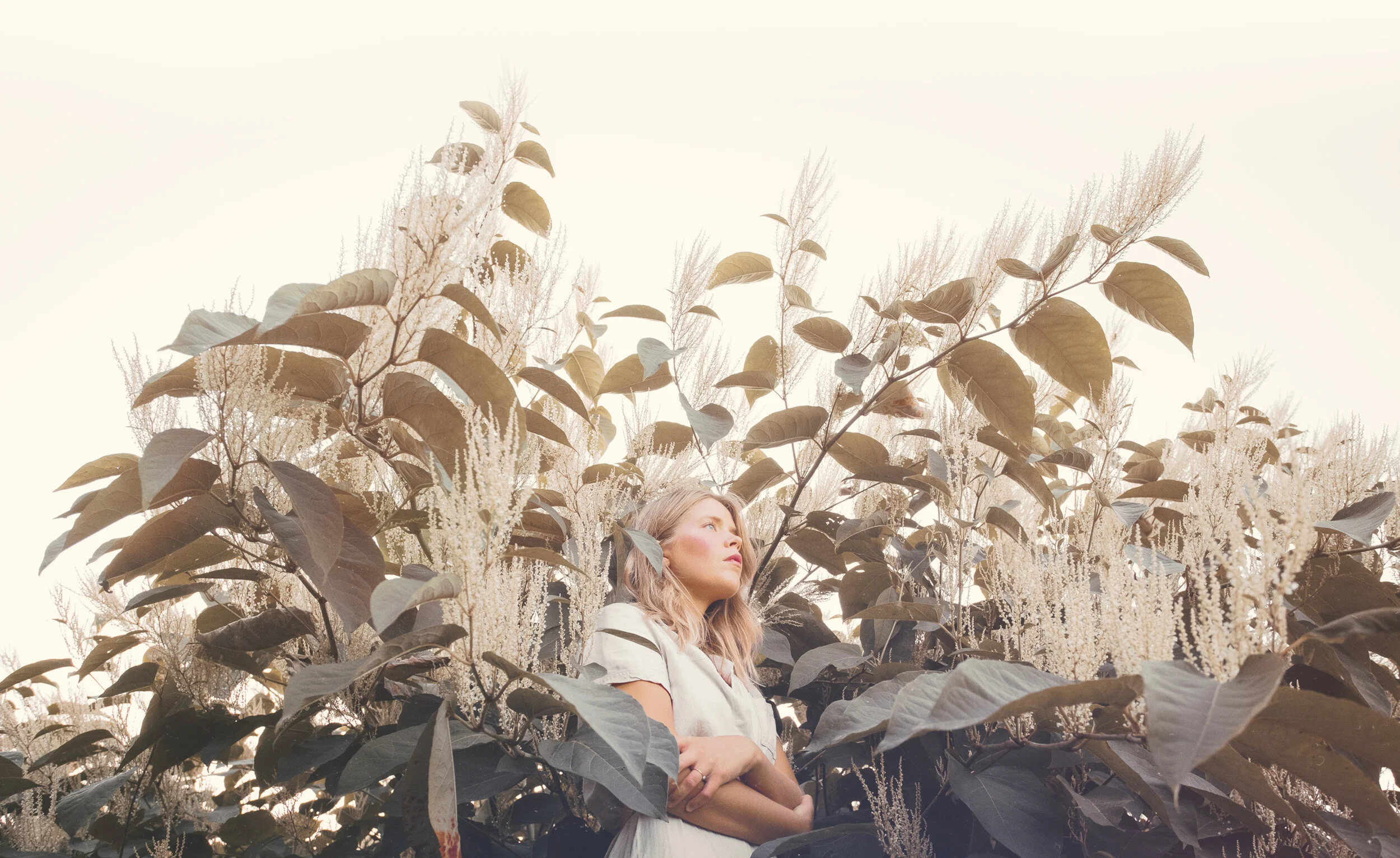 Fretland-CHLY-COVER-photo-fullsize.jpg