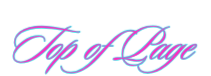 Scroll to Top