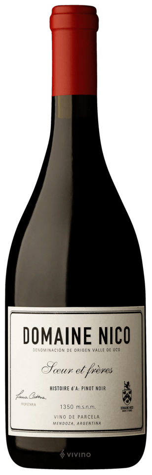 Domaine Nico Histoire d'A Pinot Noir 2022