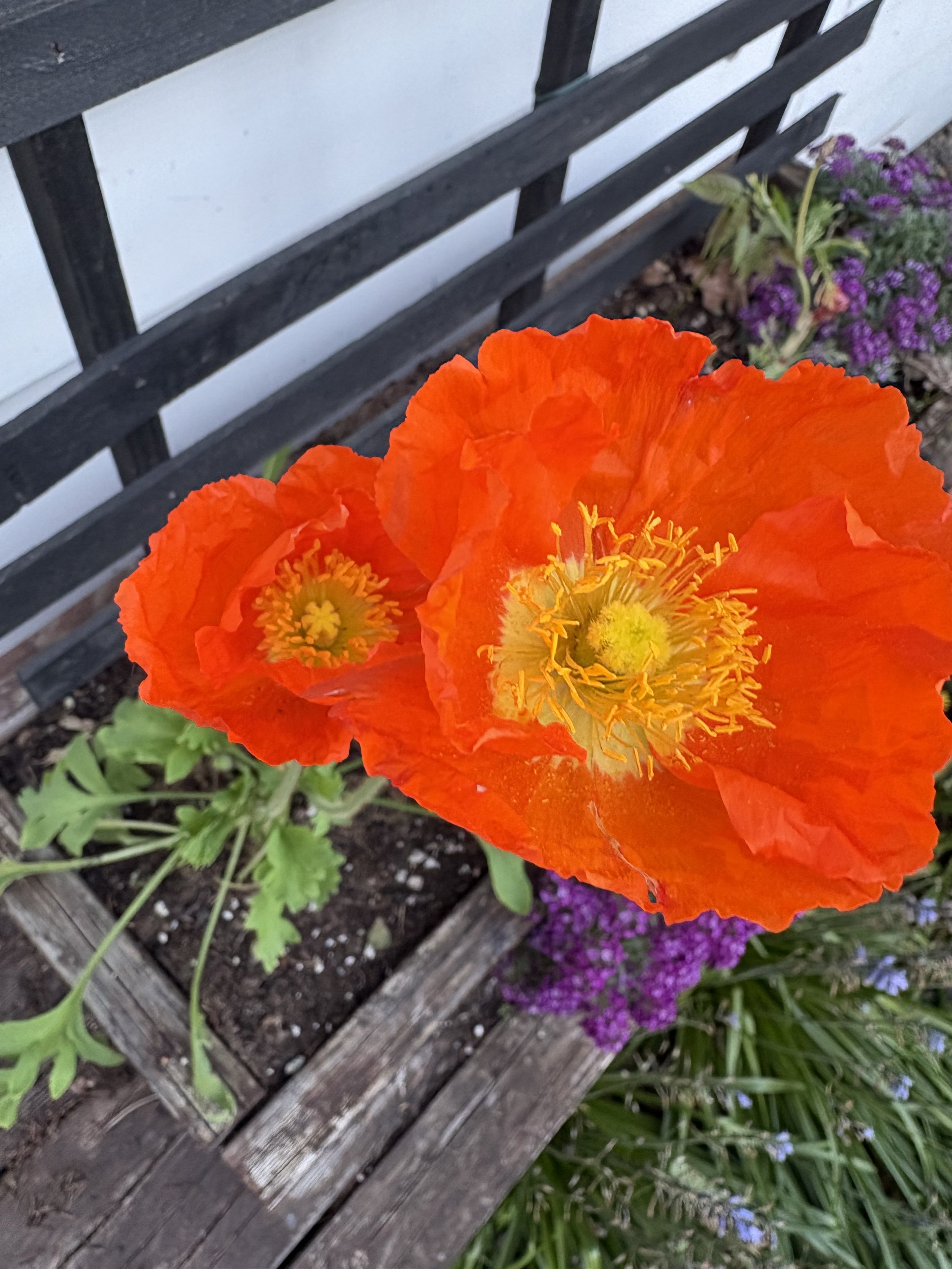 IMG_5829.jpeg