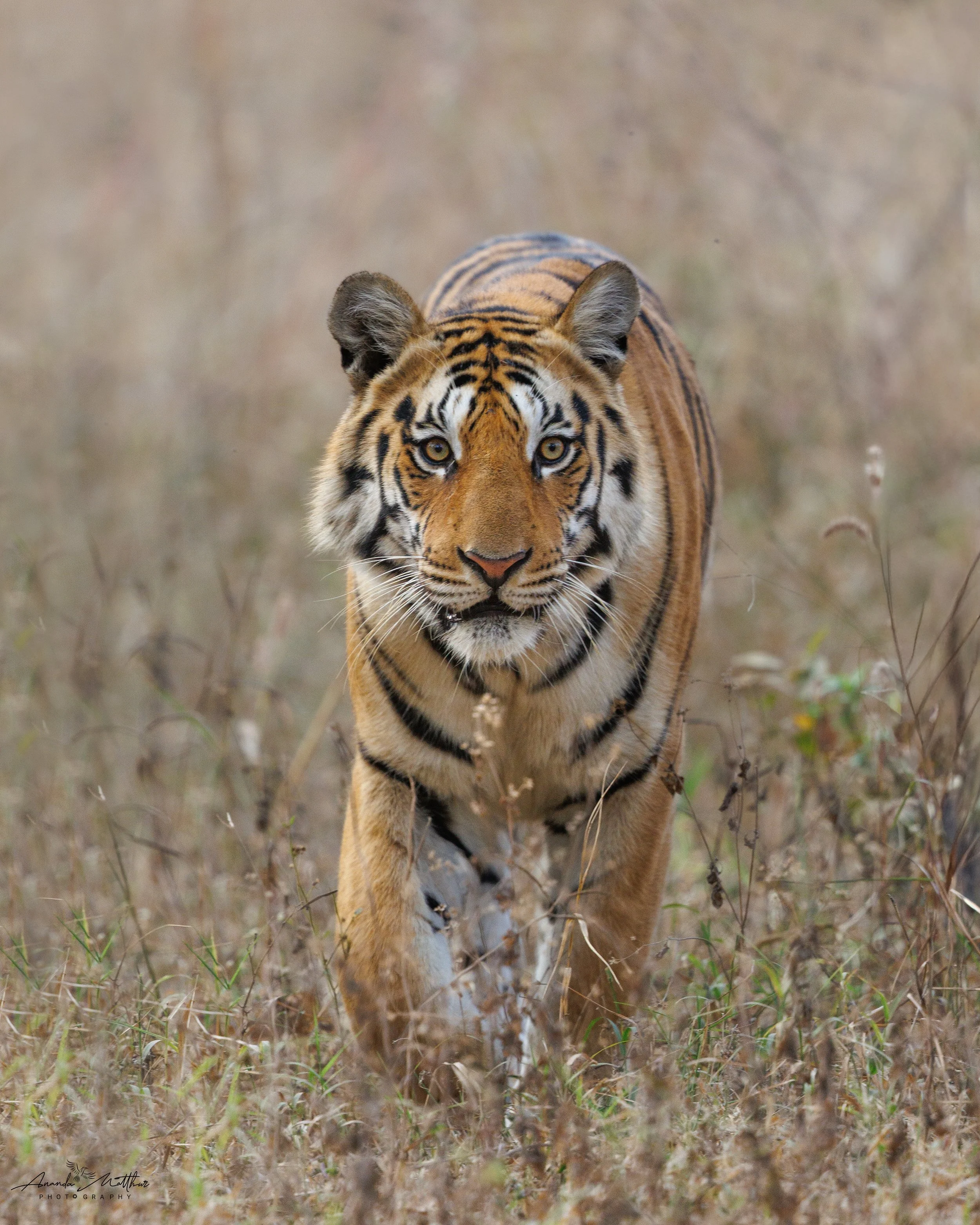 1L0A1087-Edit.jpg