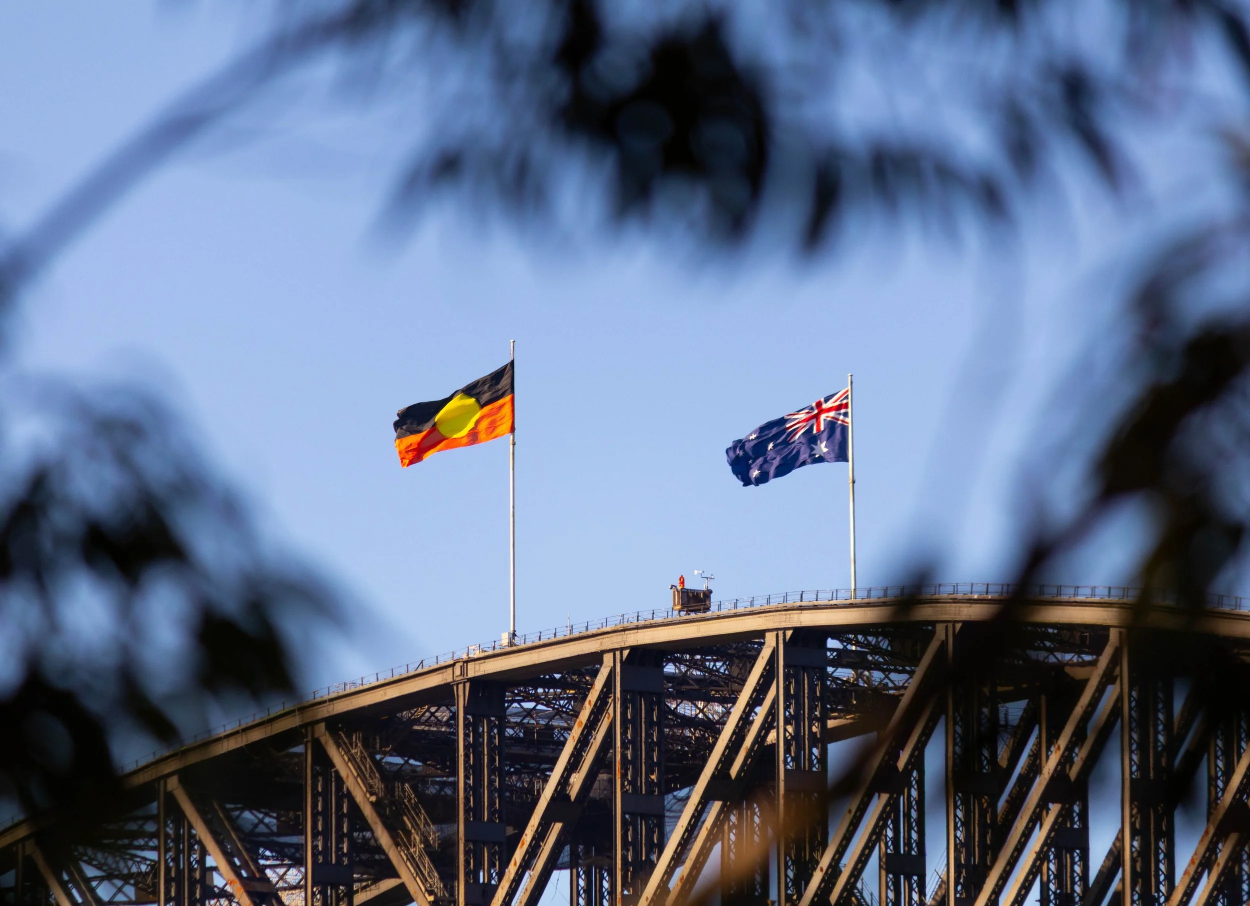 flag