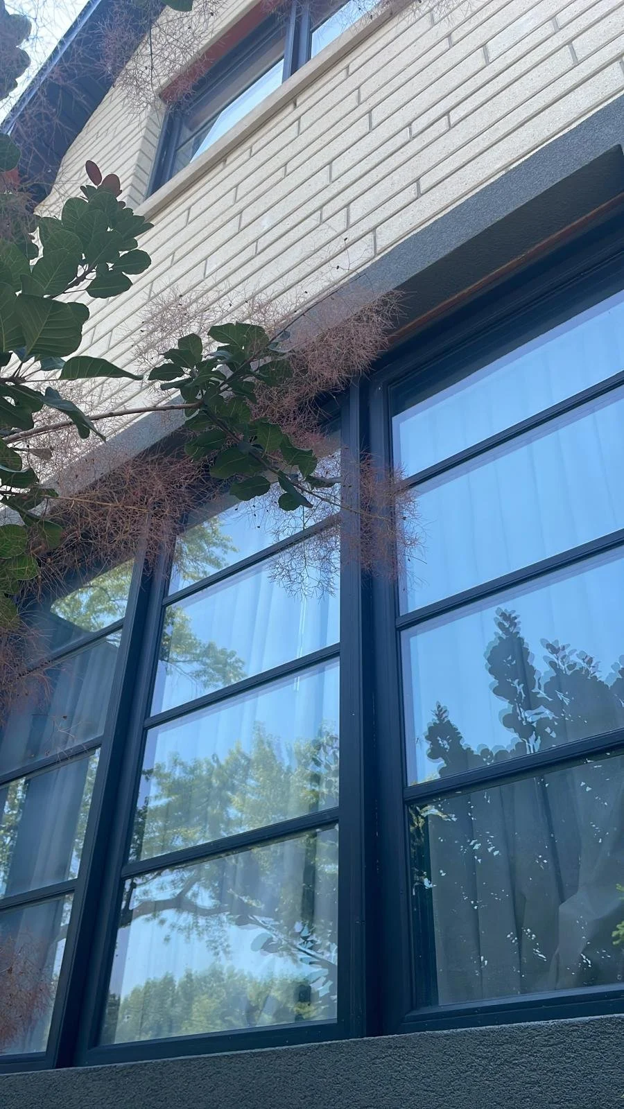 WhatsApp Image 2025-08-25 at 15.12.15 (19).jpeg